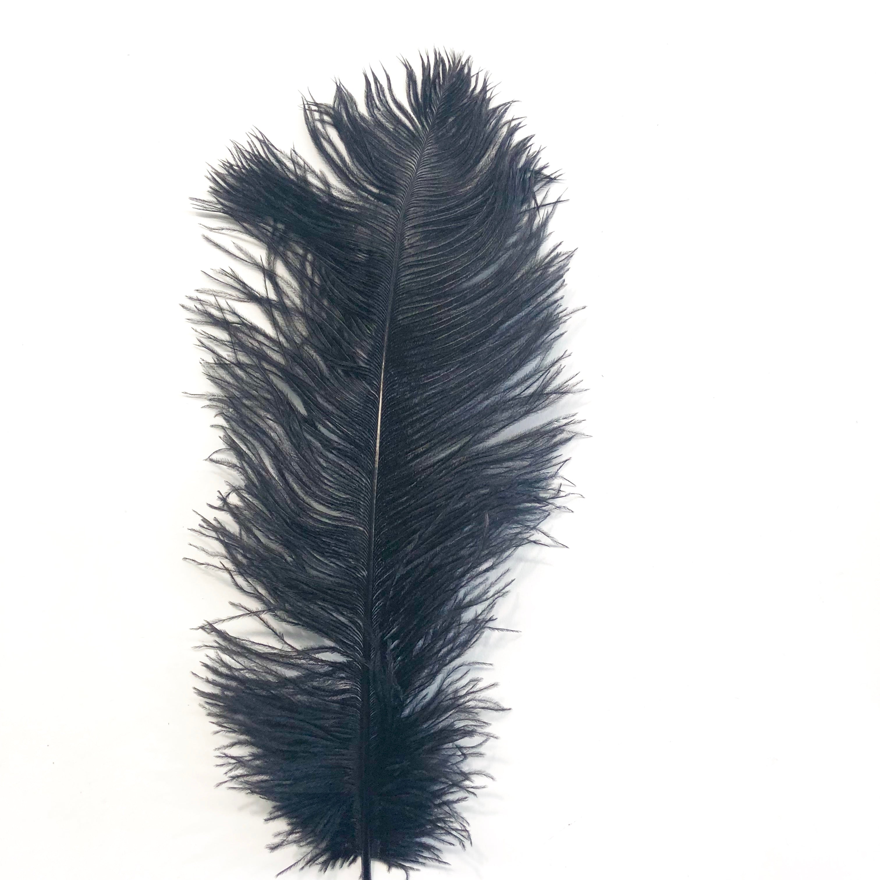 Ostrich Feather Drab 37-42cm x 5 pcs - Black ((SECONDS))