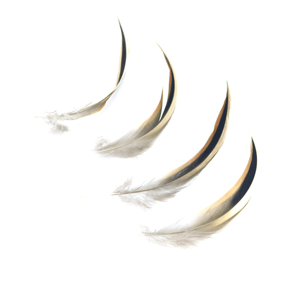 Natural Curled Duck Feathers x 10 pcs