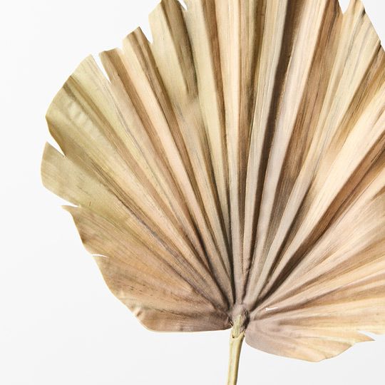 Artificial Palm Fan Leaf  - Green Brown