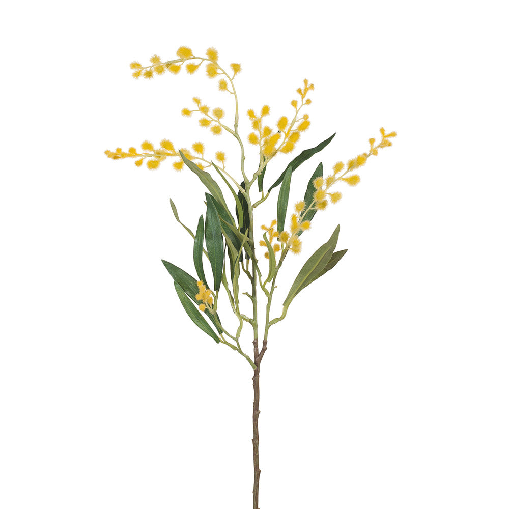 Australian Native Mimosa Wattle Blossom Flower Spray - Yellow