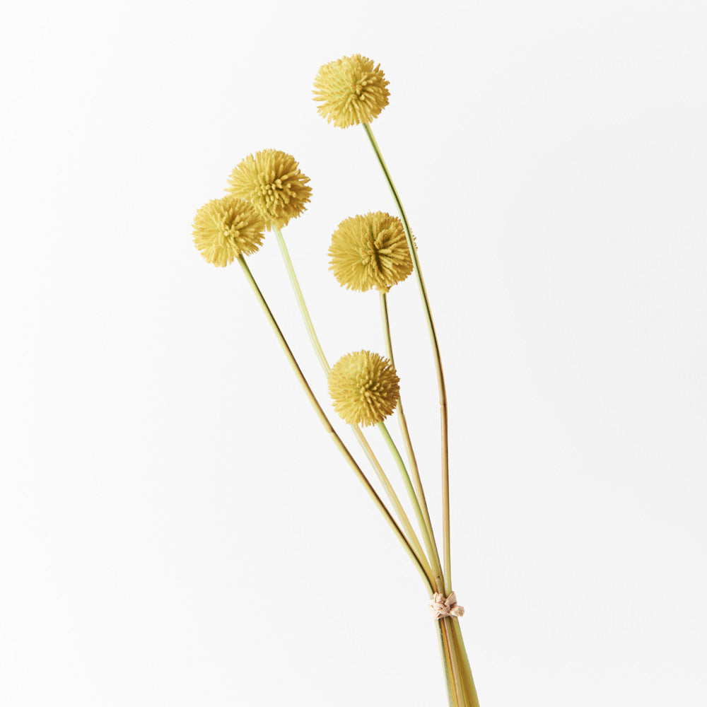 Artificial Australian Native Craspedia Billy Button Bundle Flower - Yellow Bundle