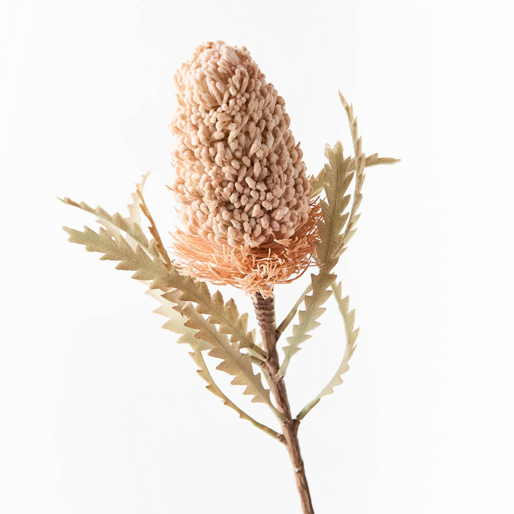 Artificial Australian Native  Banksia Acorn Flower Stem - Cream (Style 7)