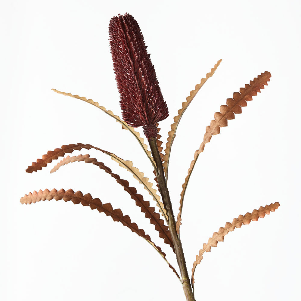 Artificial Australian Native Premium Banksia Pencil Praemorsa Flower Stem - Burgundy (Style 5)