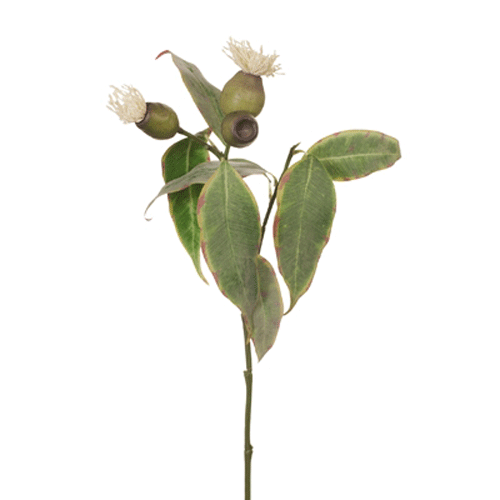 Artificial Silk Australian Native Flowering Eucalyptus Greenery Pod Spray - Cream (STYLE 1)
