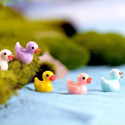 Fairy Garden Terrarium Plastic Miniature Ducks x 5 pcs - Assorted