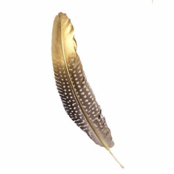 Natural Guinea Fowl Wing Feathers x 10 pcs - Gold Tipped