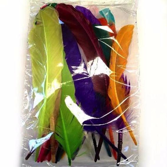Goose Pointer Feathers 10 grams - Assorted