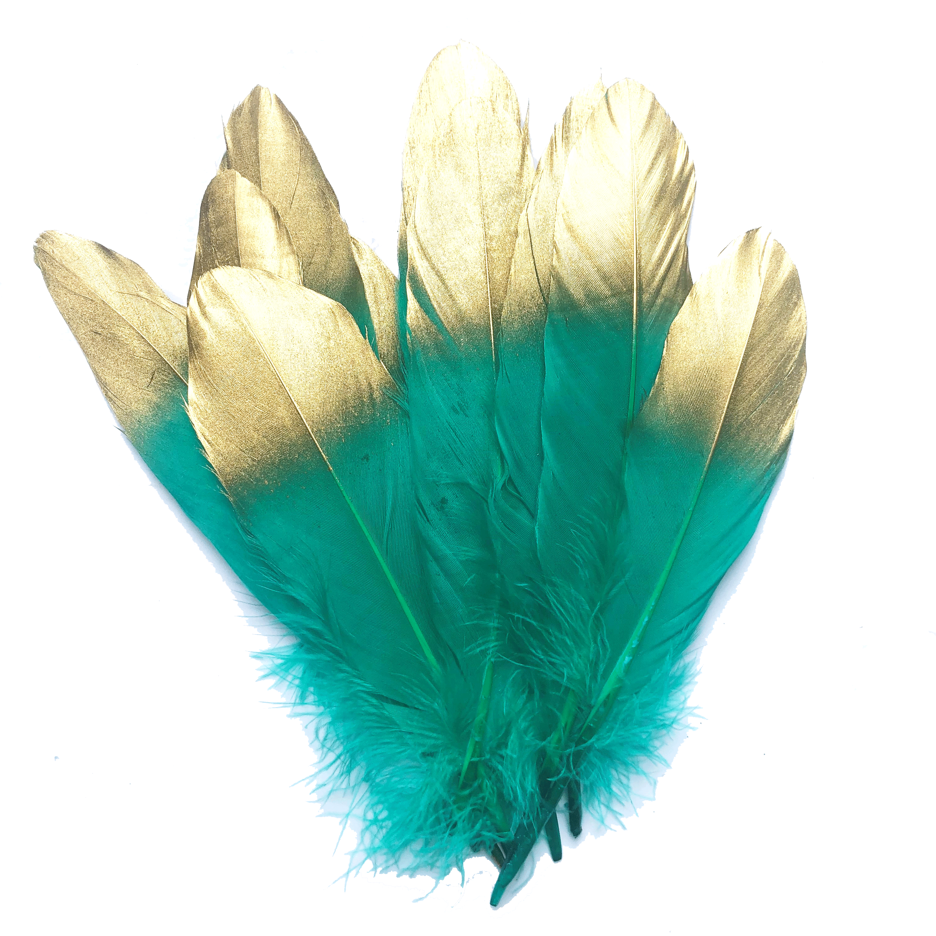 Goose Pointer Feather Gold Tipped x 10 pcs - Green