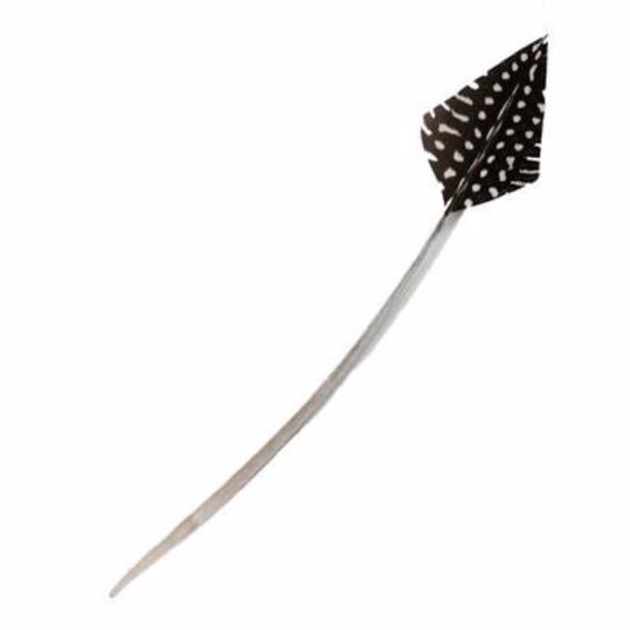 Guinea Wing Arrowhead Feather - Natural