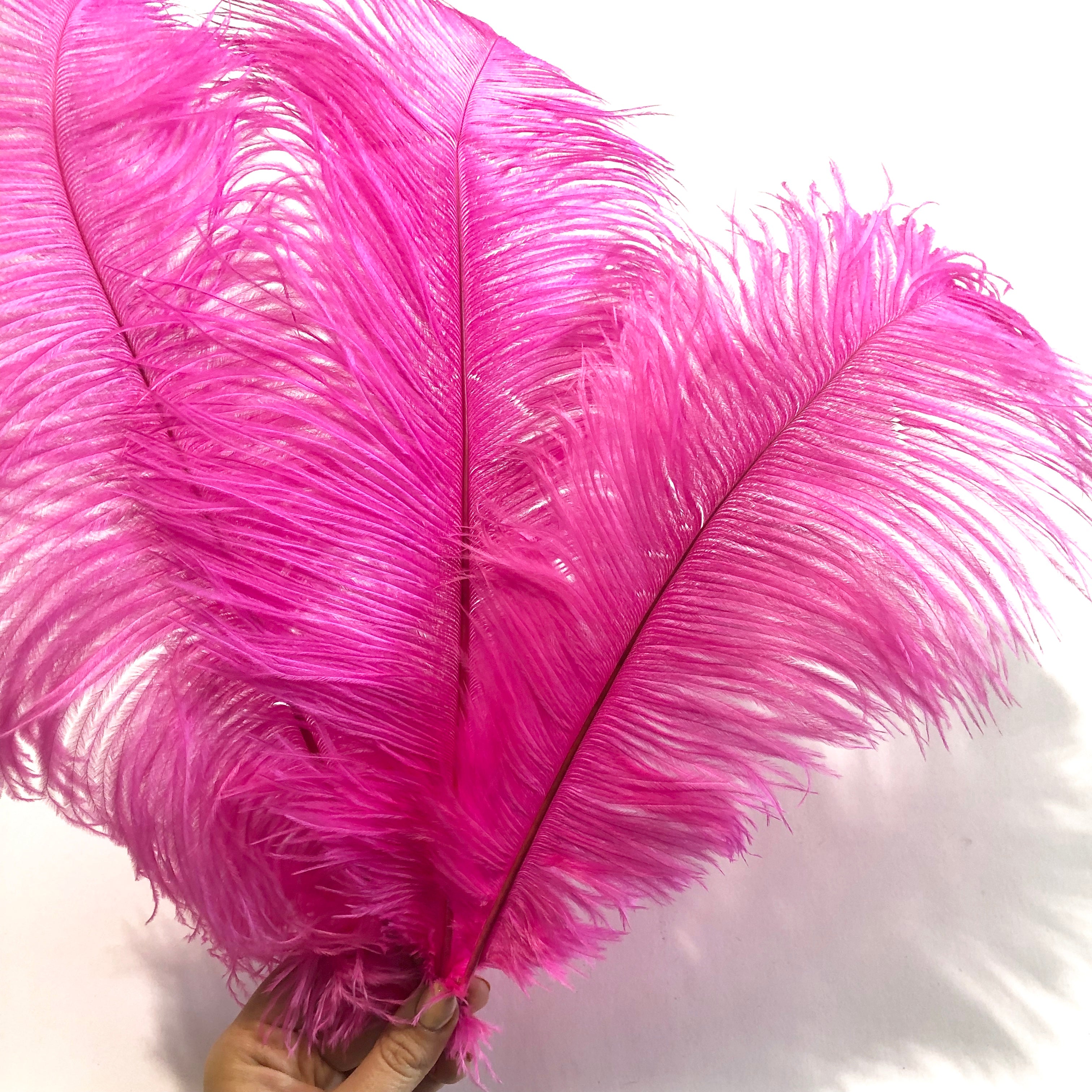Ostrich Feather Drab 37-42cm x 5 pcs - Hot Pink ((SECONDS))