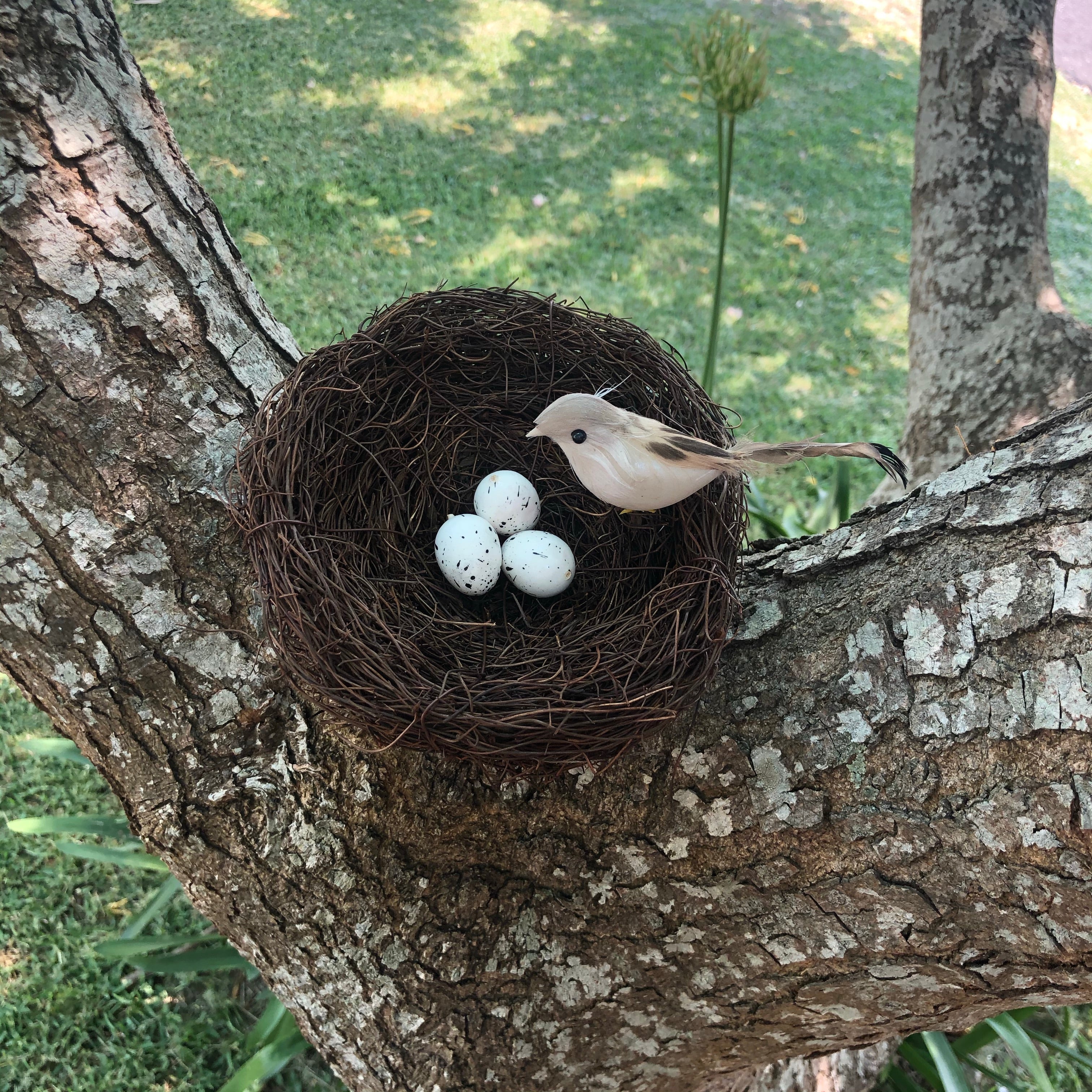 Natural Easter Premium Vine Bird Nest Large 15cm - Natural Brown