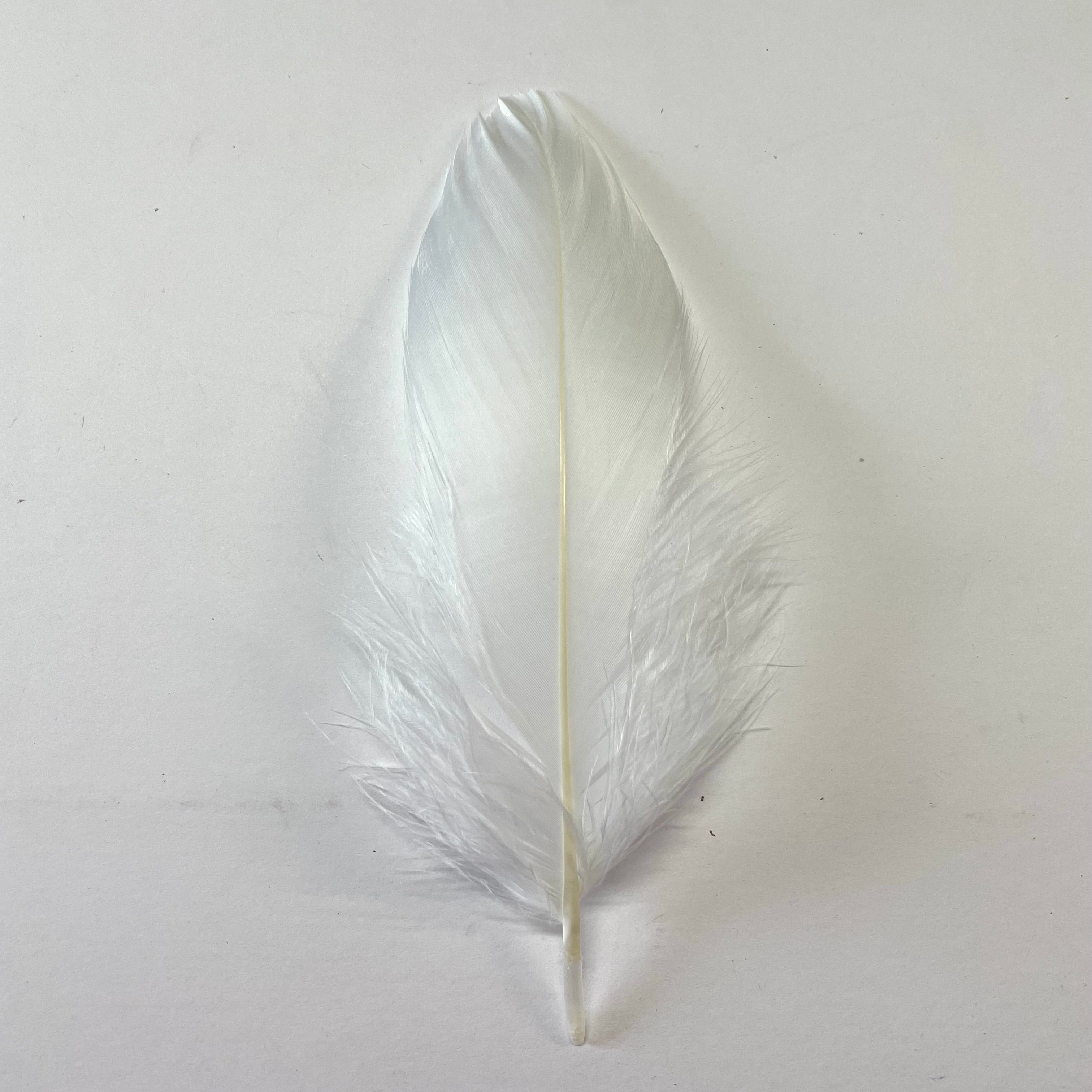Goose Nagoire Feathers 10 grams - White