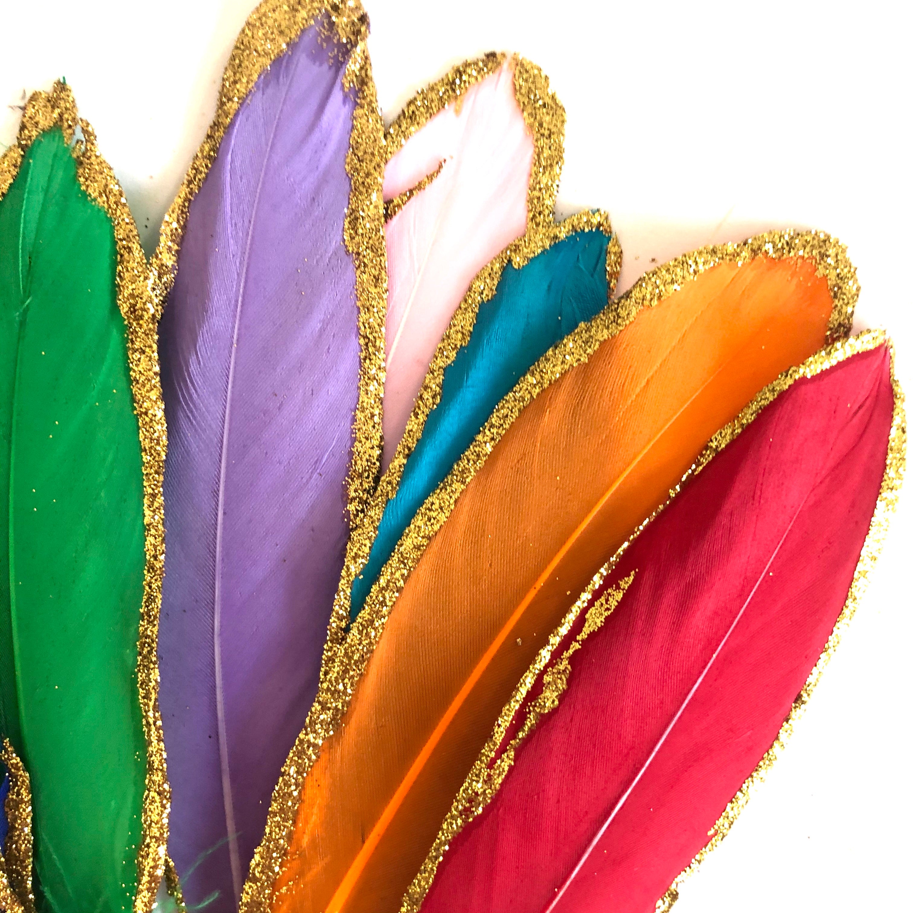 Gold Glitter Edge Goose Pointer Feathers x 10 pcs - Rainbow Assorted - Style 18
