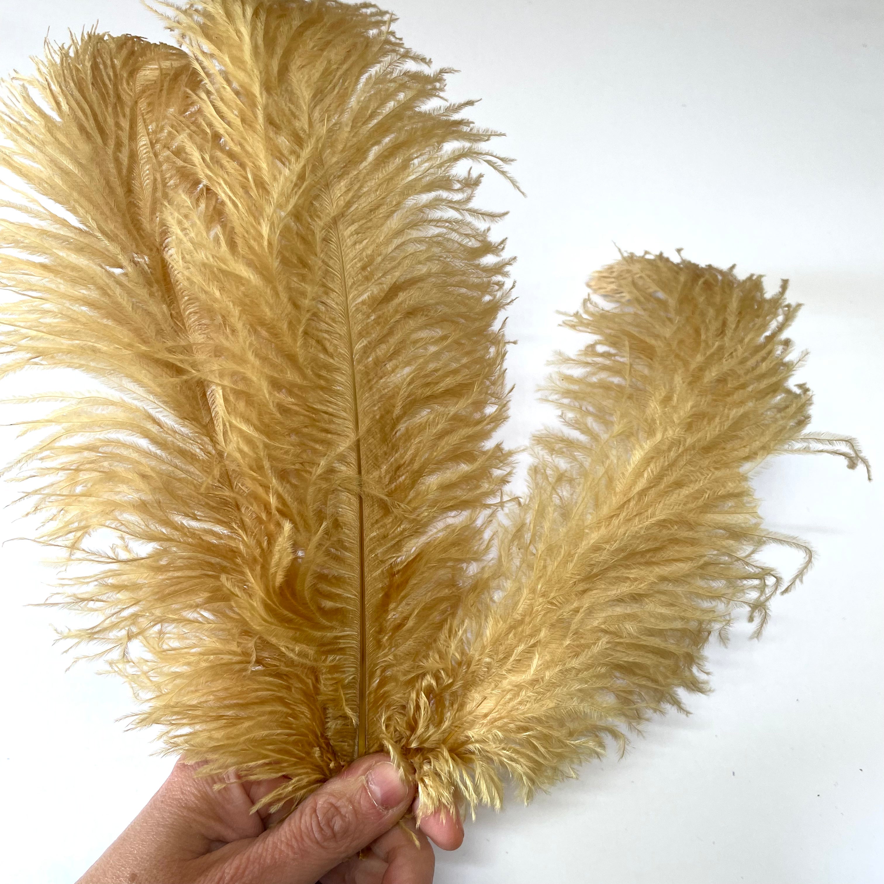 Ostrich Blondine Feather 25-40cm x 5 pcs - Nugget Gold ((SECONDS))
