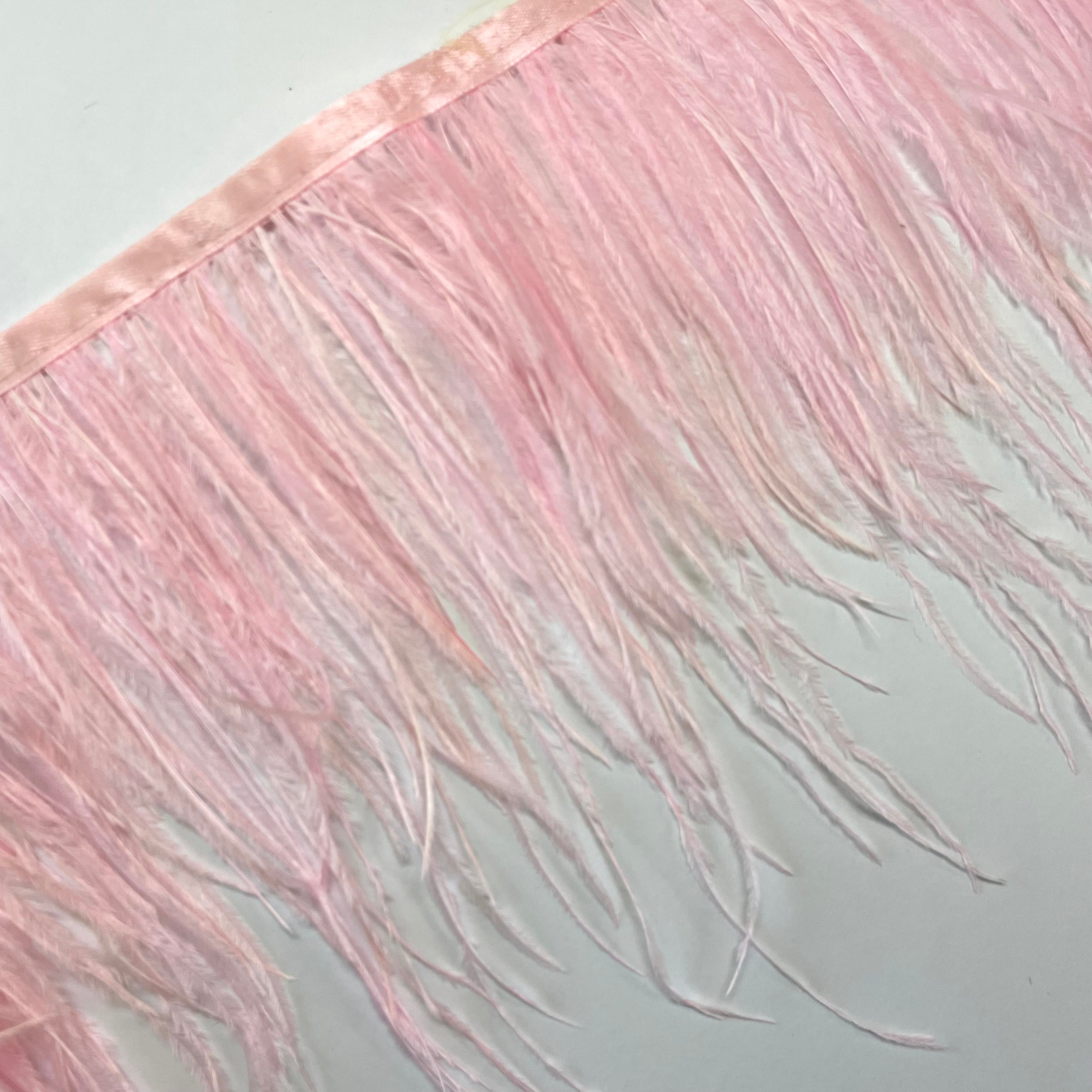 Ostrich Feathers Strung per metre - Pink