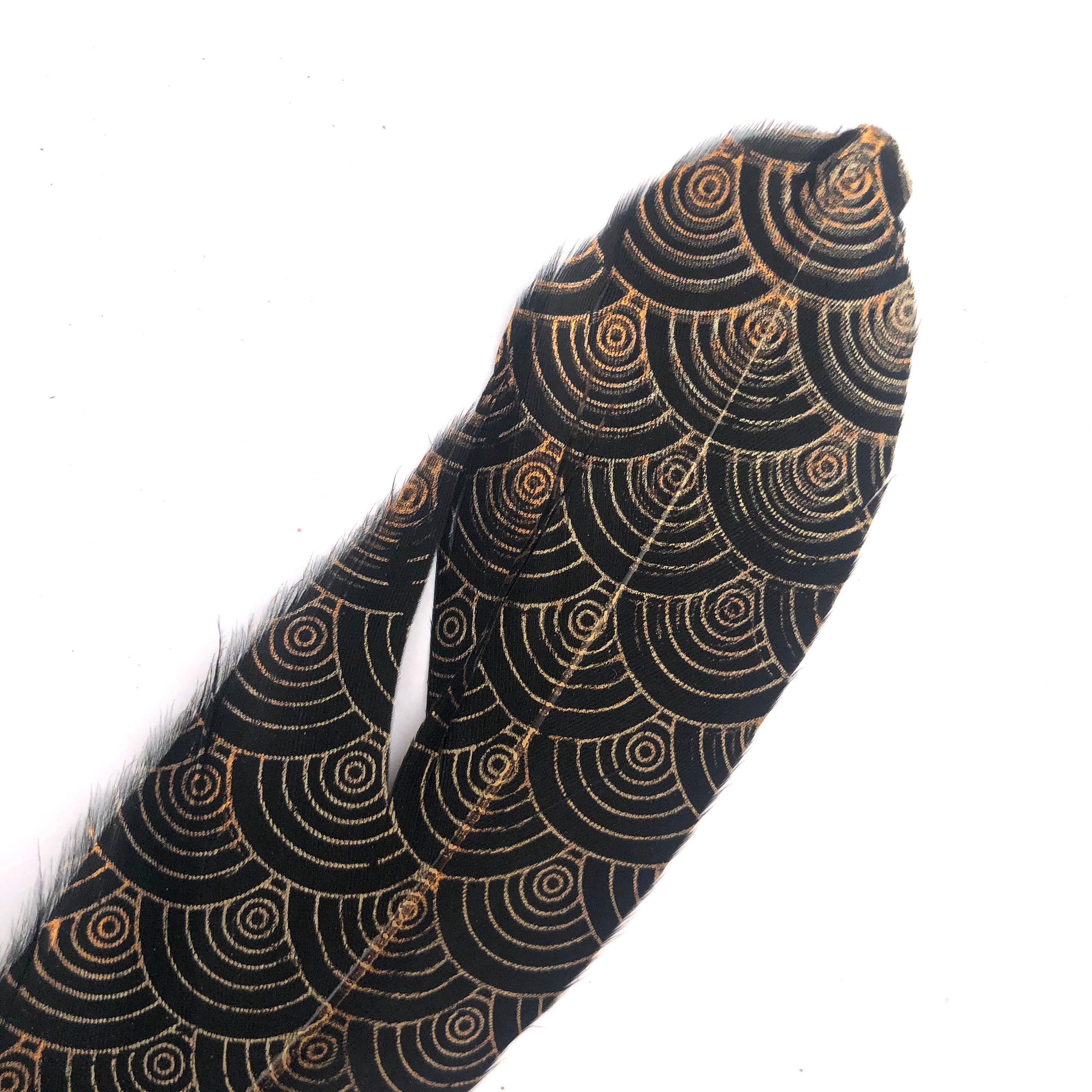 Goose Pointer Printed Black Feather Art Craft - Gold Circles Style 17 x 10 pcs