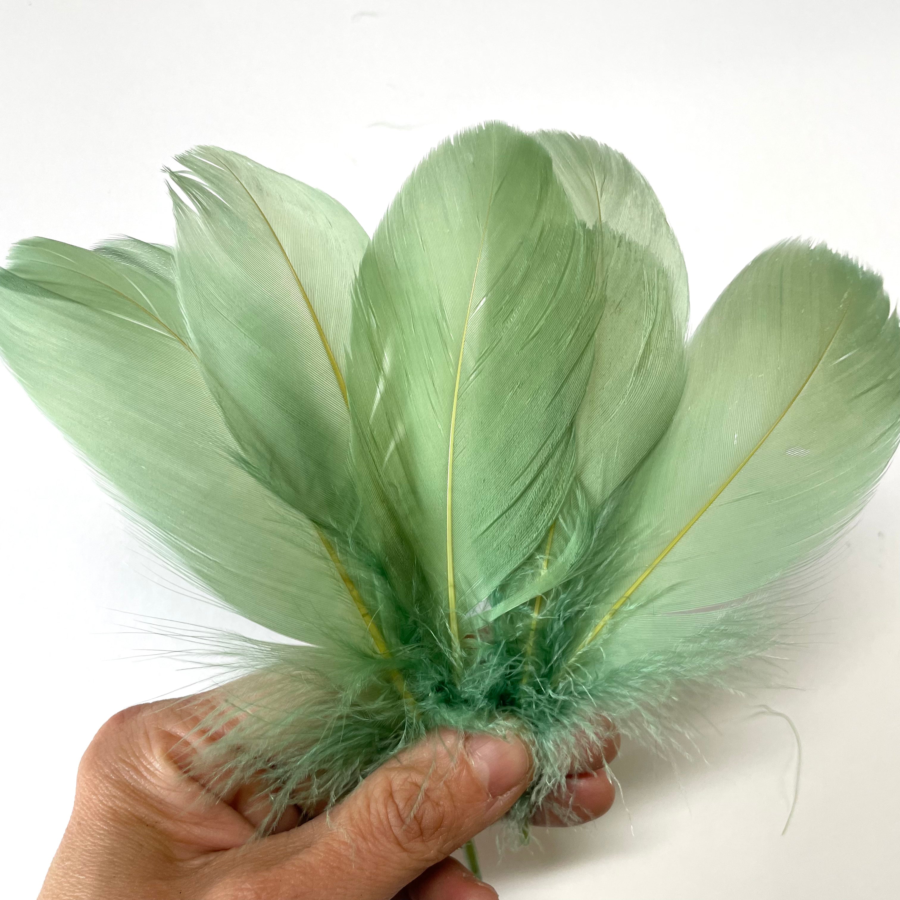Goose Nagoire Feathers 10 grams - Sage