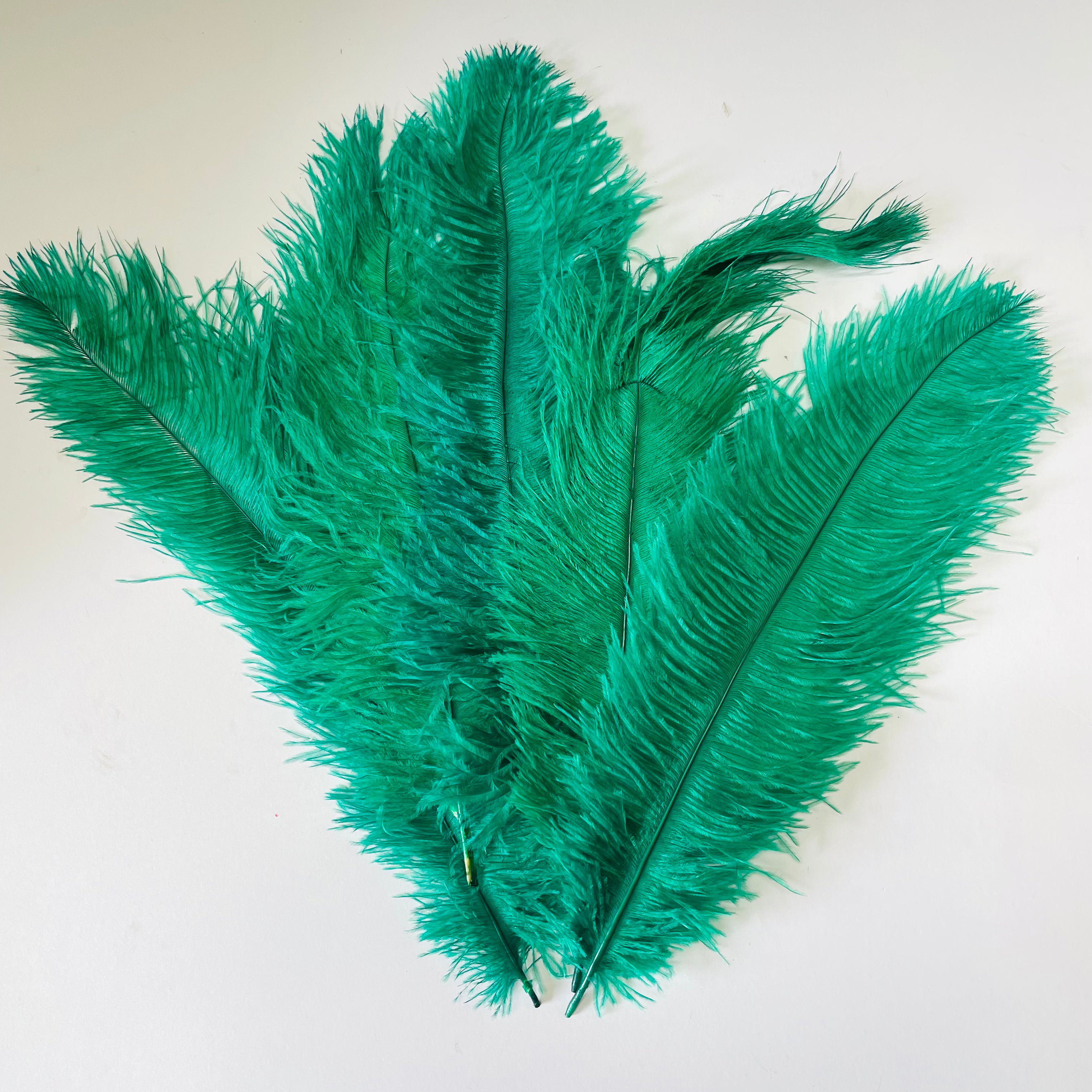 Ostrich Blondine Feather 25-40cm - Green