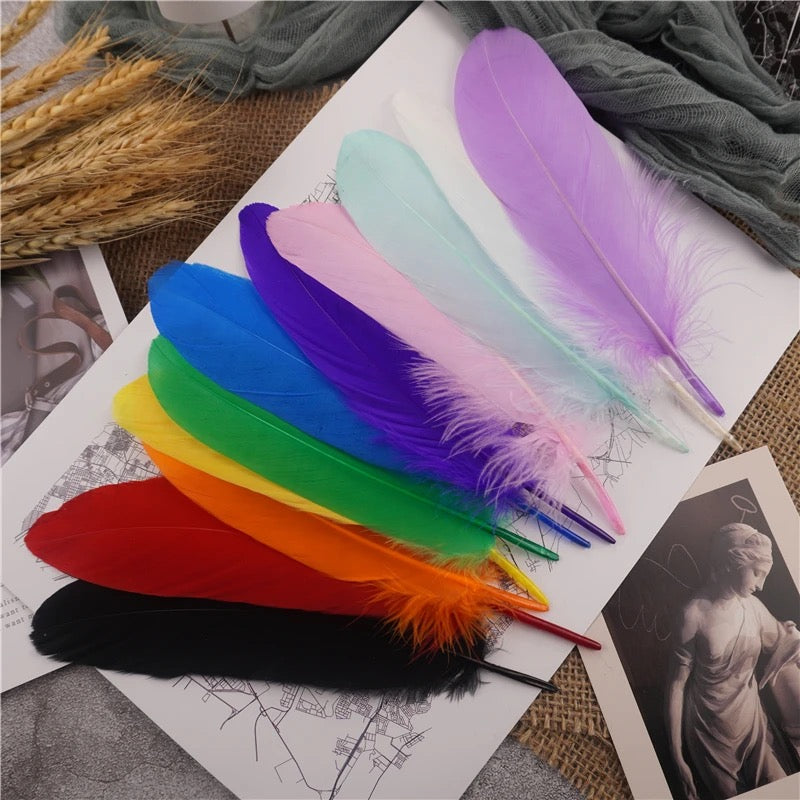 Goose Pointer Feathers 50 pcs - Rainbow Assorted