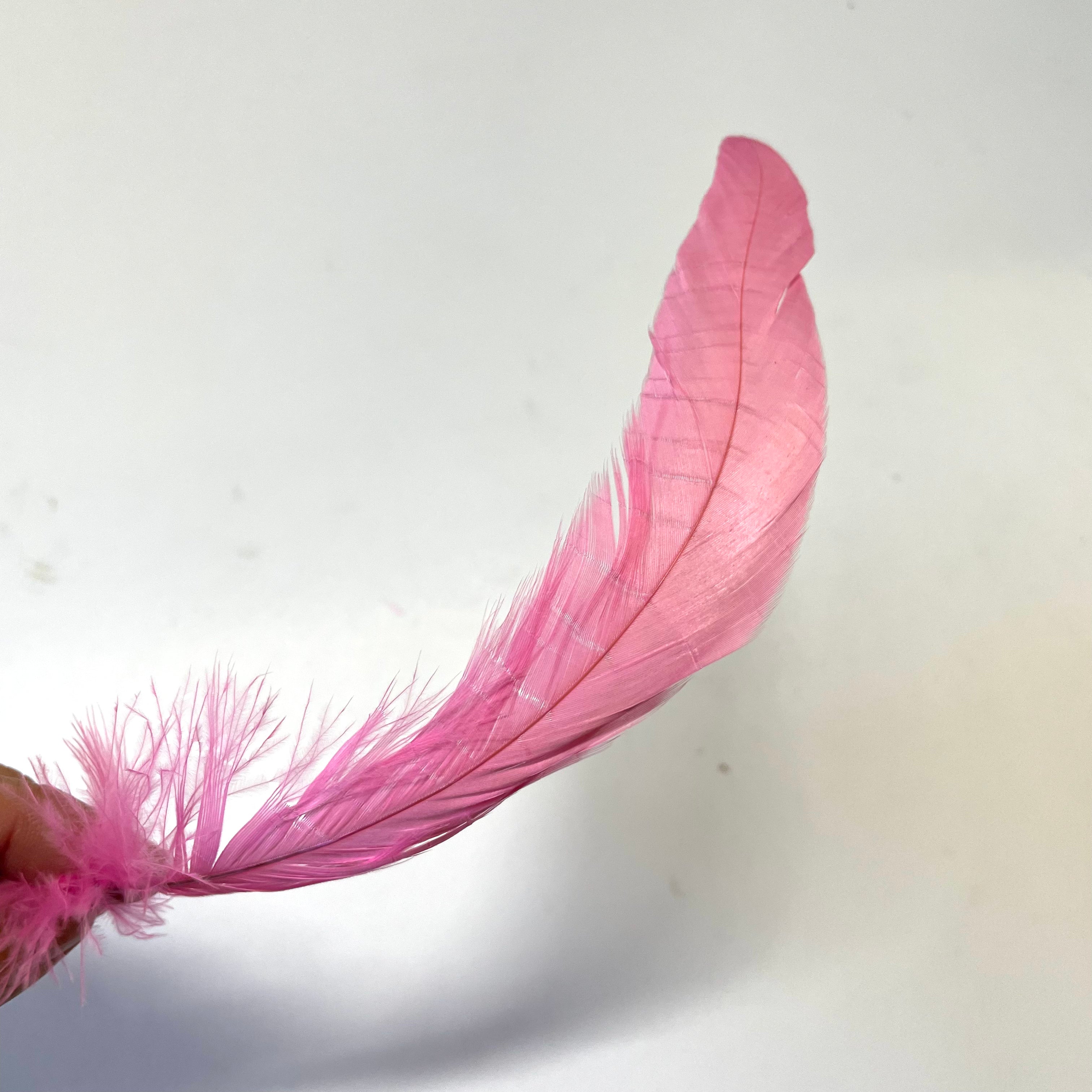 Coque Tail Feathers 8-10" 240mm - 10 grams - Hot Pink
