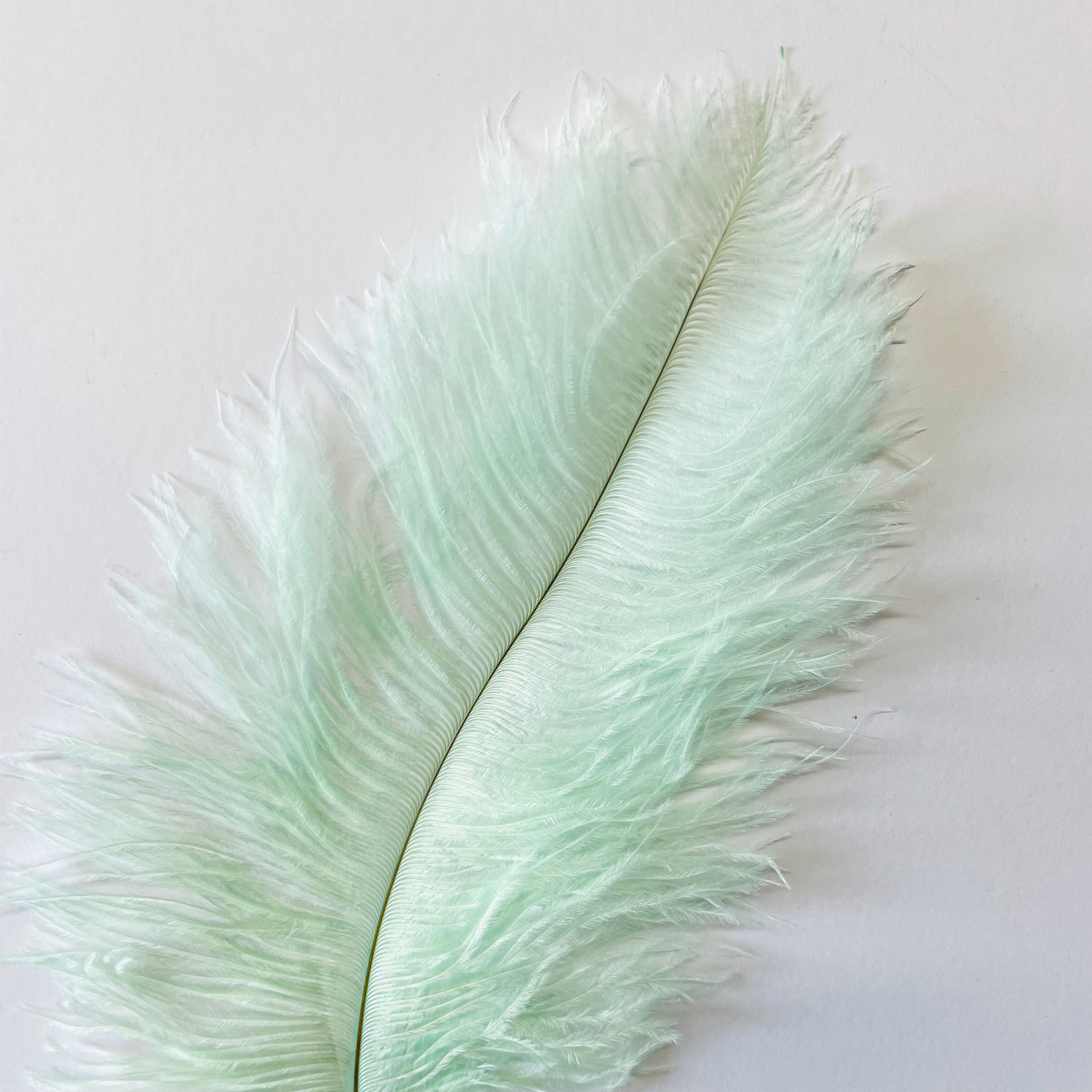 Ostrich Blondine Feather 25-40cm - Mint Green