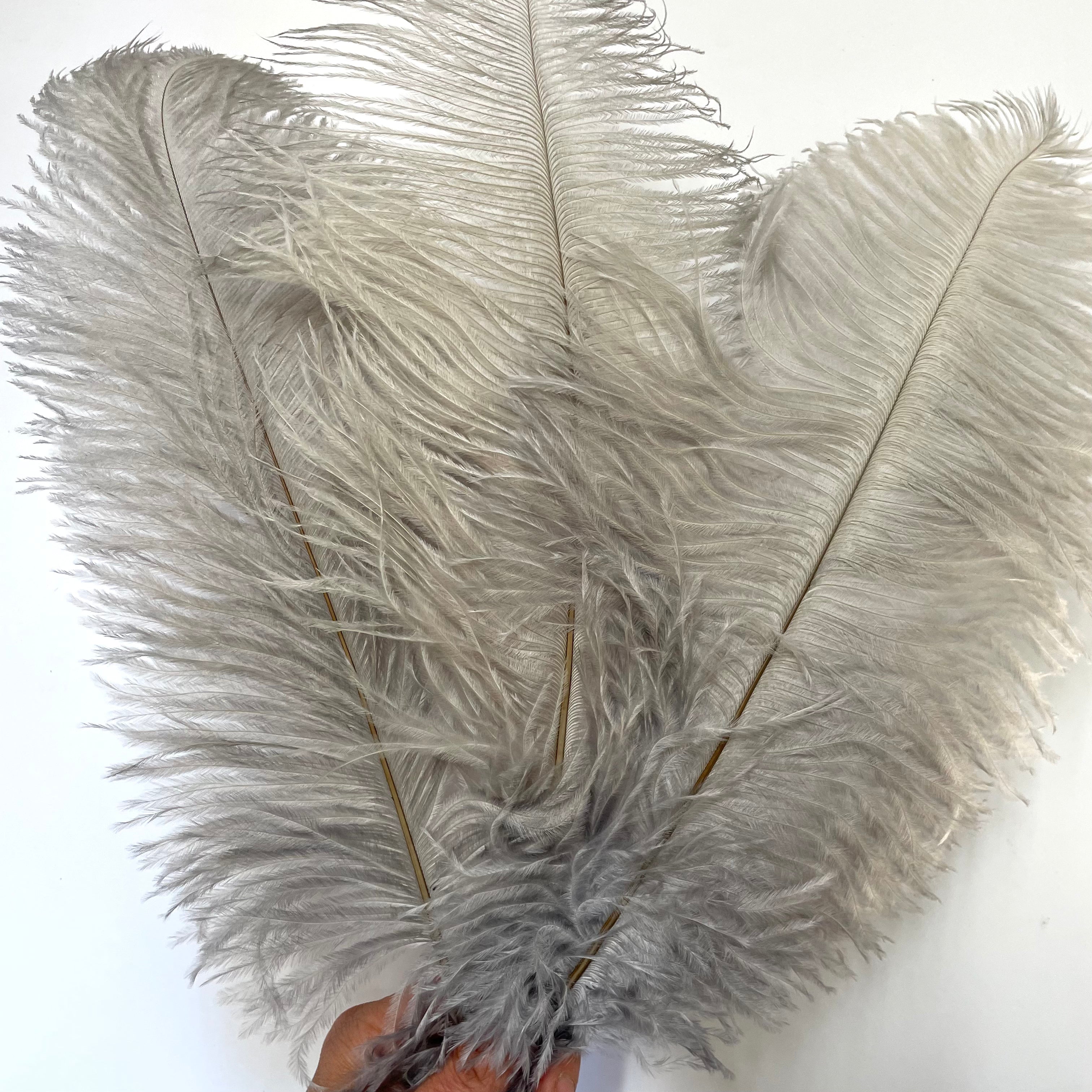 Ostrich Feather Drab 37-42cm x 5 pcs - Grey ((SECONDS))