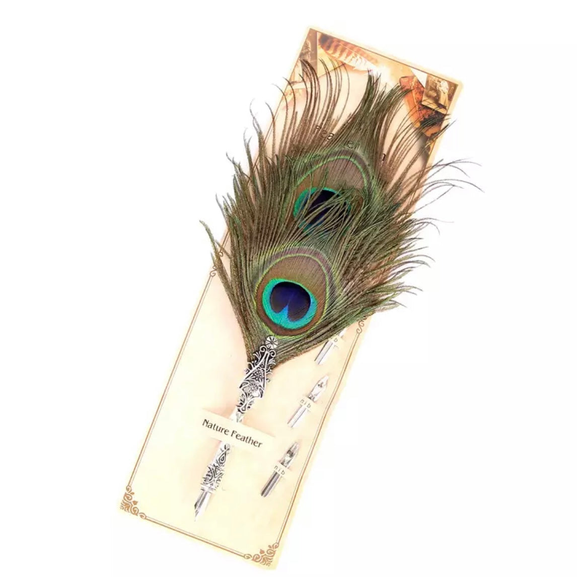 Natural Peacock Eye Pheasant Retro Feather Calligraphy Dip Quill Pen