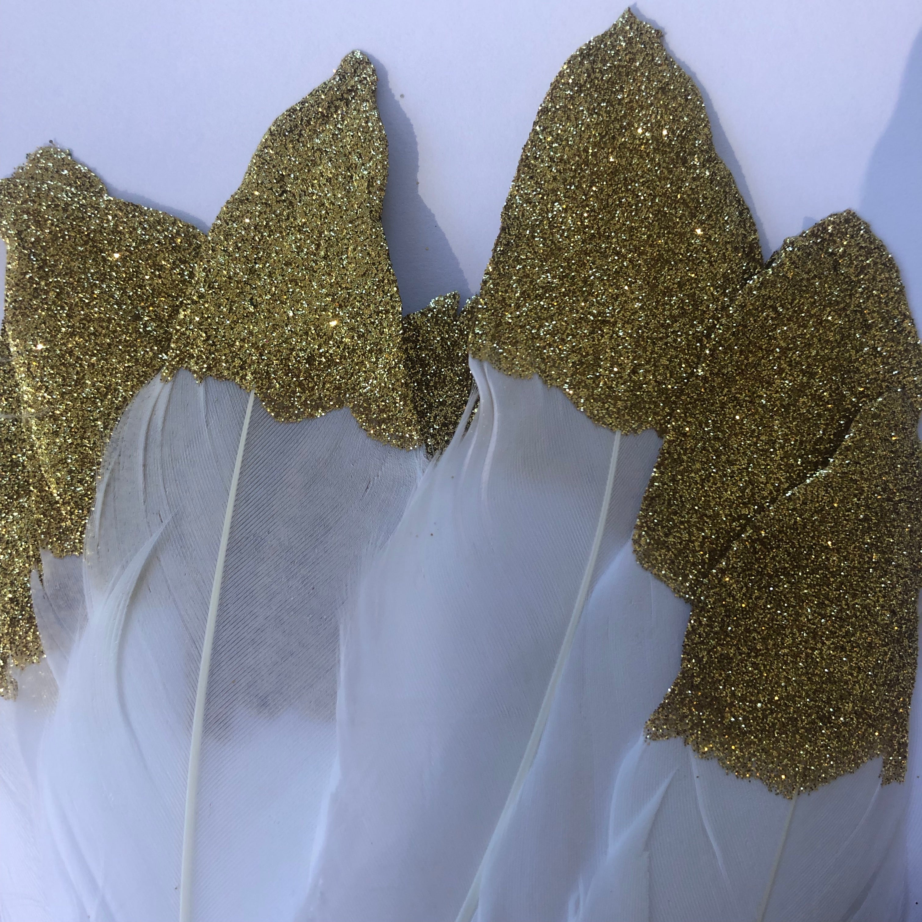 Feather Garland Wall Hanging Bunting - White Feather / Gold Glitter