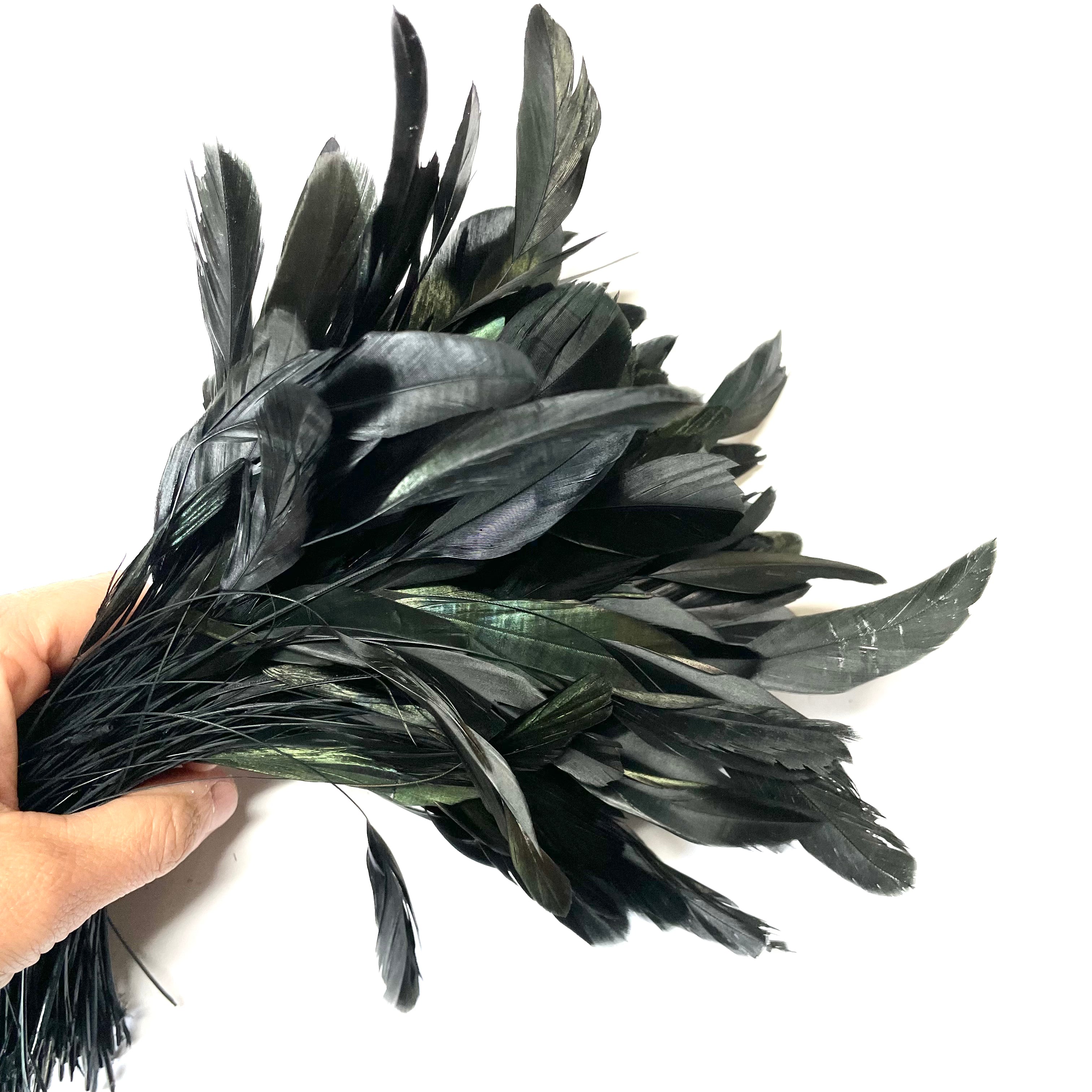 Stripped Coque Tail Feathers 10 grams - Black