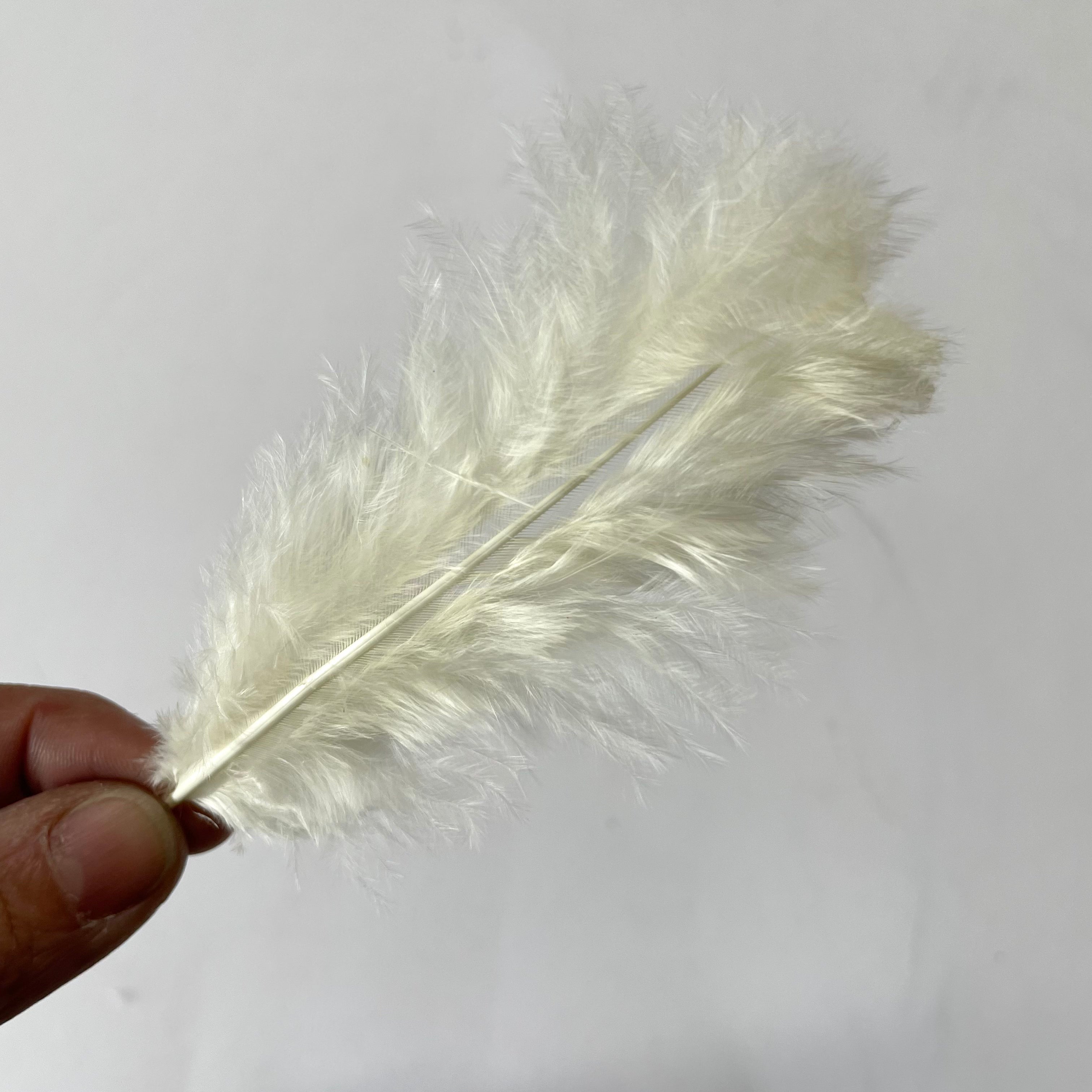 Fluffy Marabou Feather Plumage Pack 10 grams - Ivory