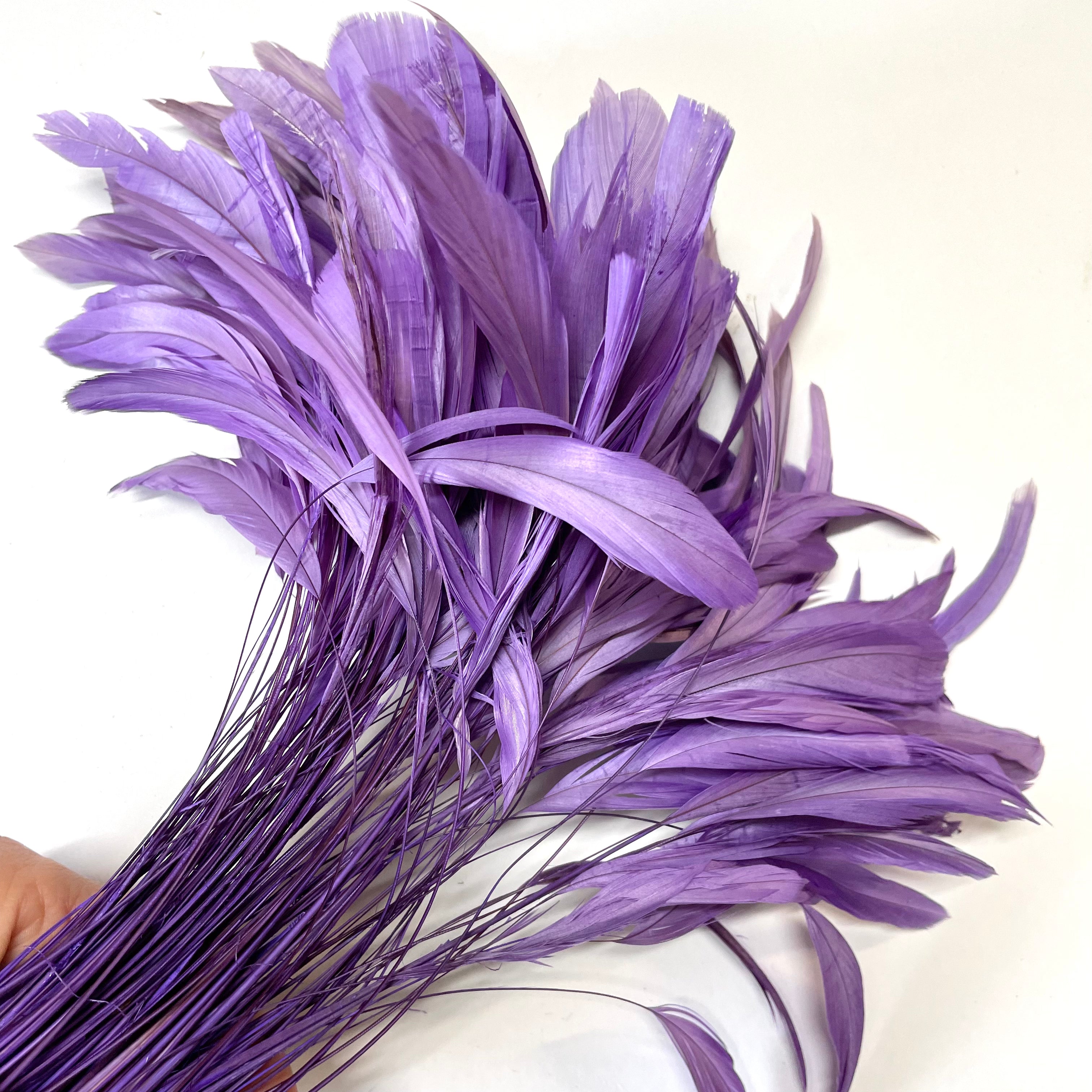 Stripped Coque Tail Feathers 10 grams - Purple