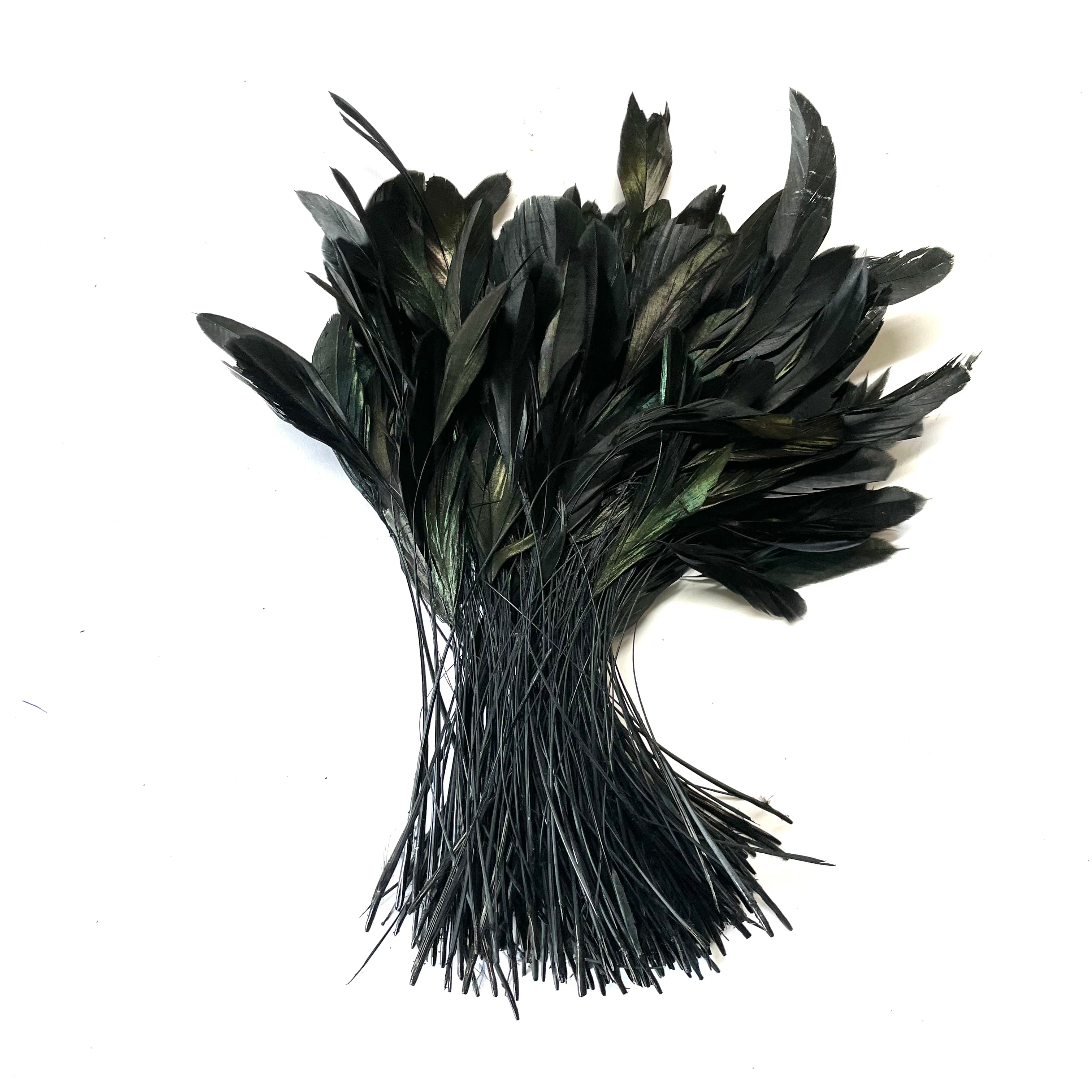 Stripped Coque Tail Feathers 10 grams - Black