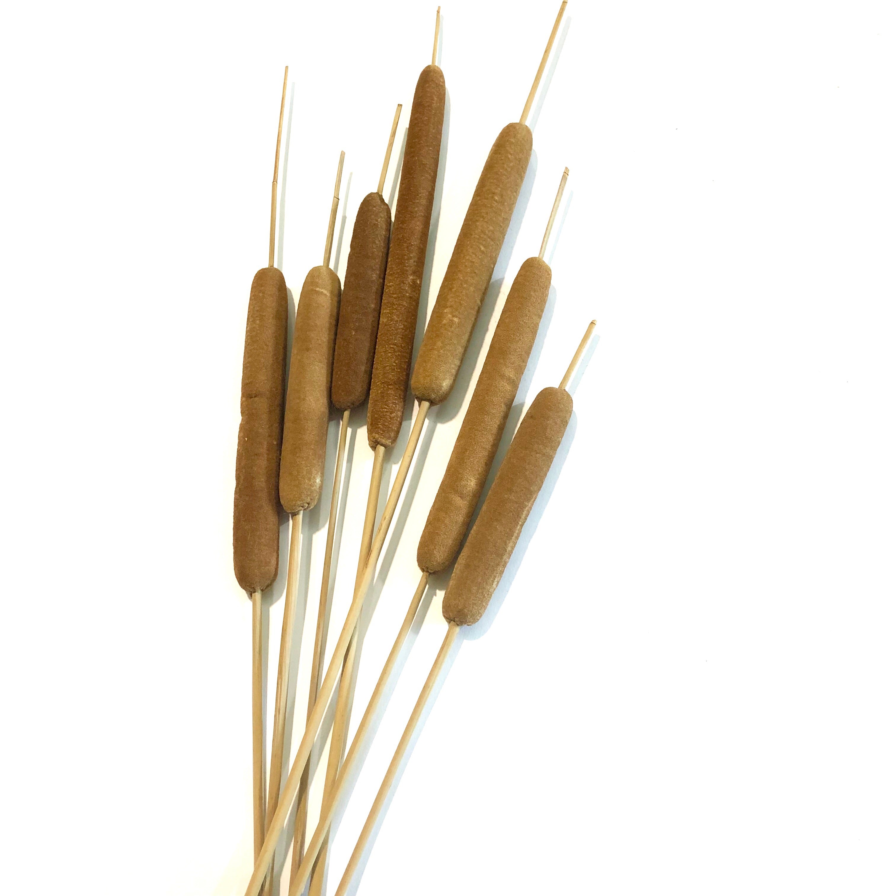 Artificial Dry Spike Of Cattail Bulrush Stem - Brown