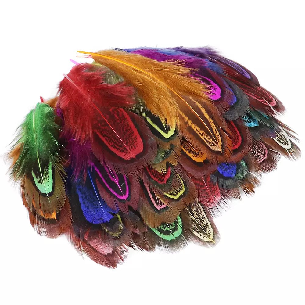 Almond Male Ringneck Pheasant Feather Plumage x 50pcs - Multicolor