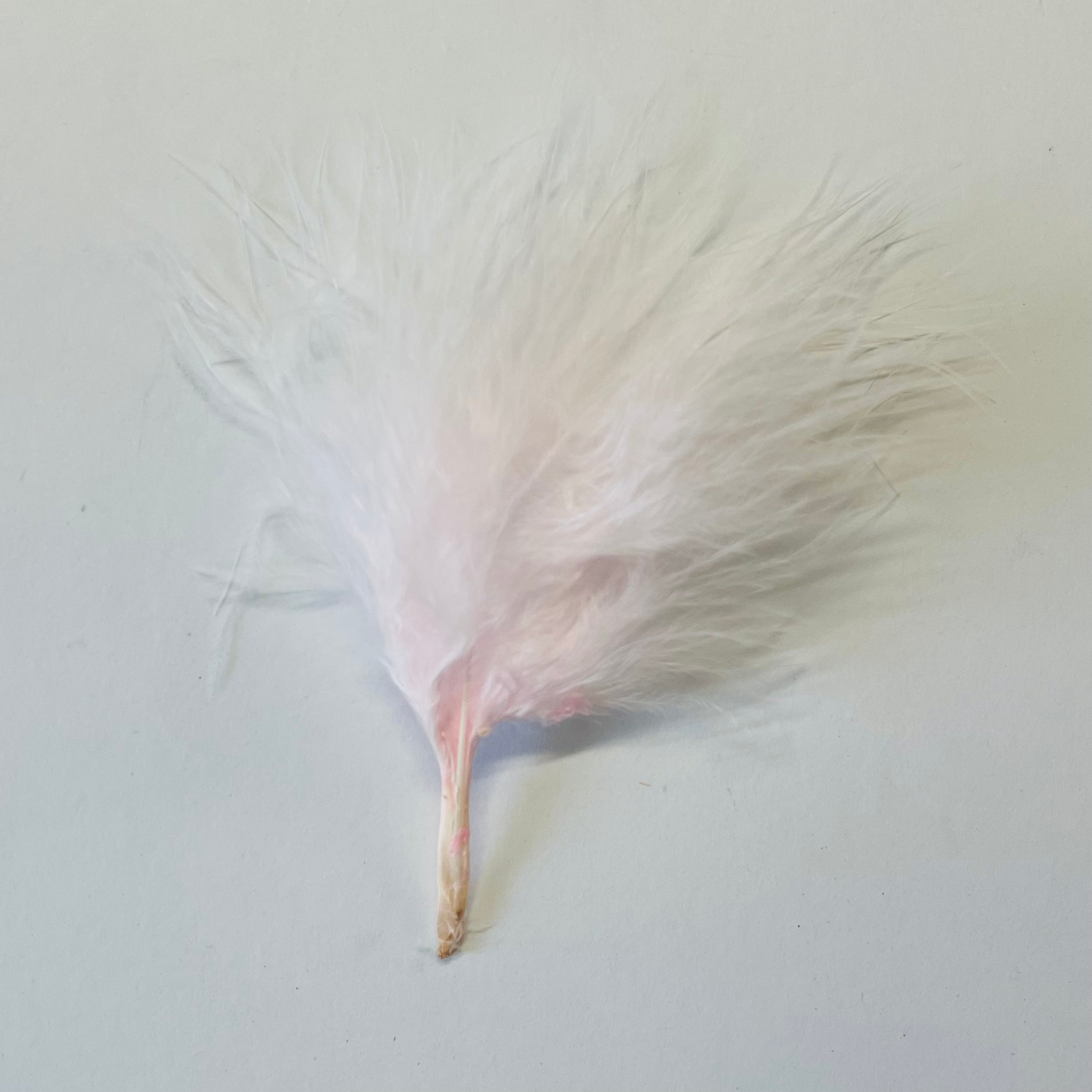 Itty Bitty Marabou Feather Plumage Pack 10 grams - Pink