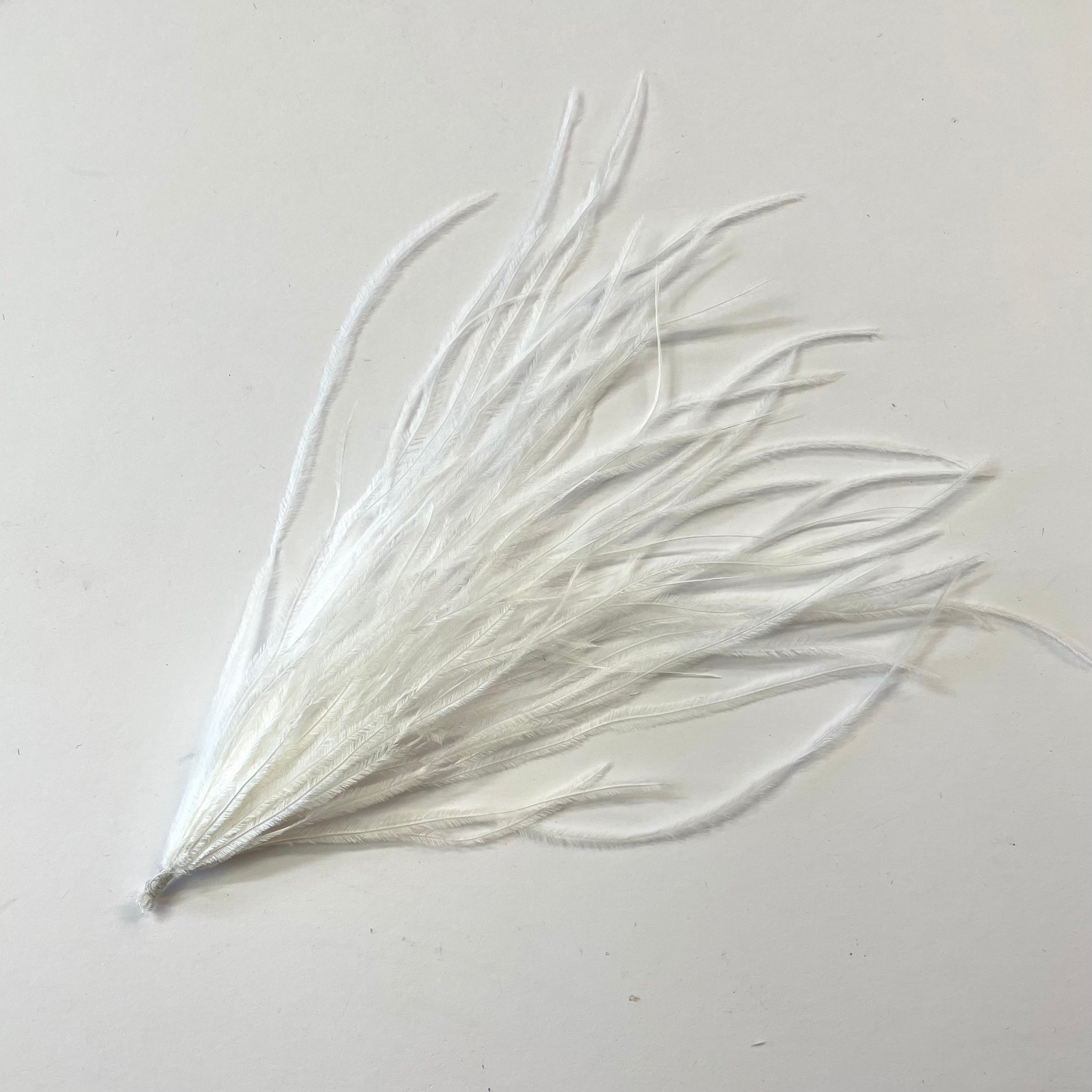 Ostrich Feather Pincher - White