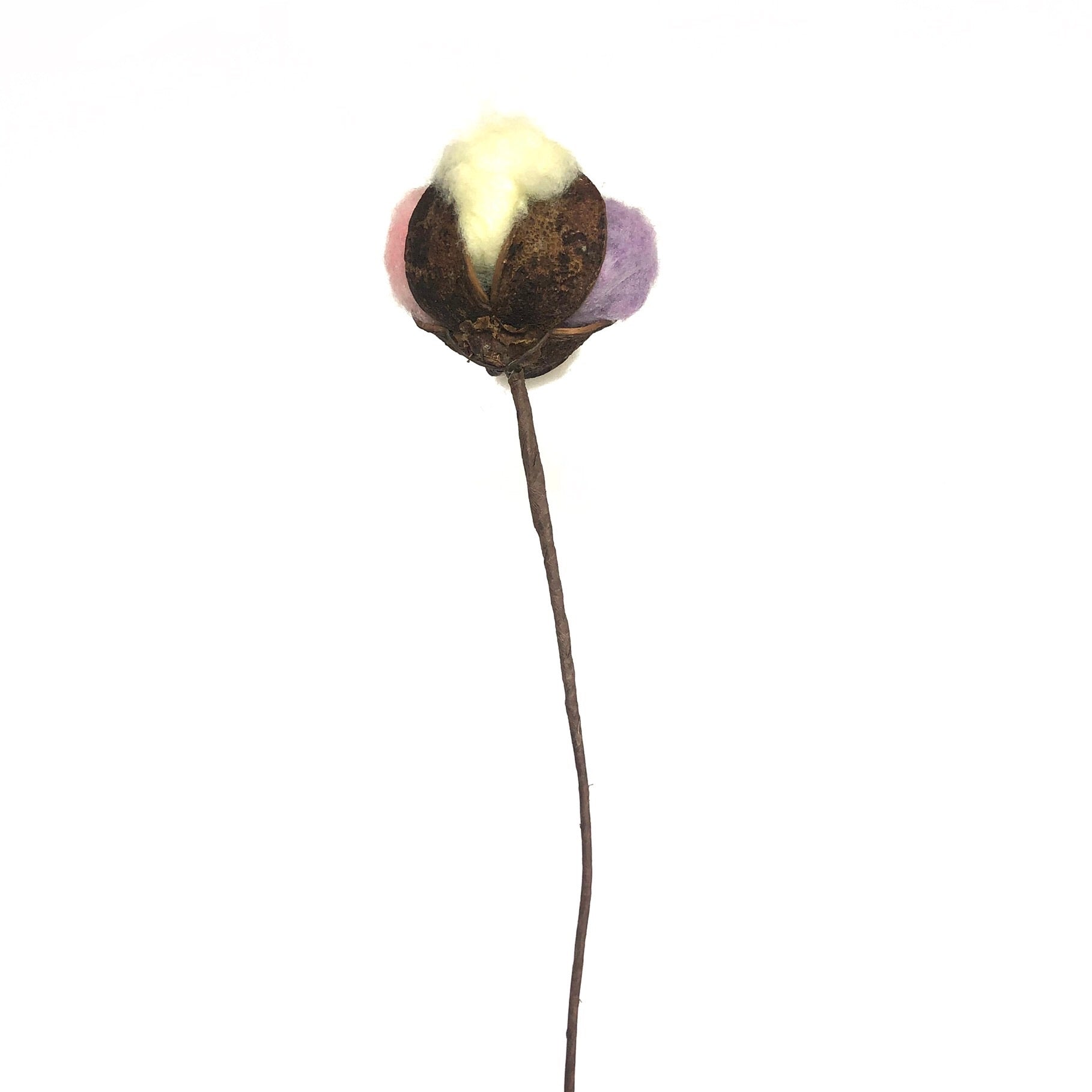 Artificial Natural Dried Cotton Flower Stem - Pastel Mix