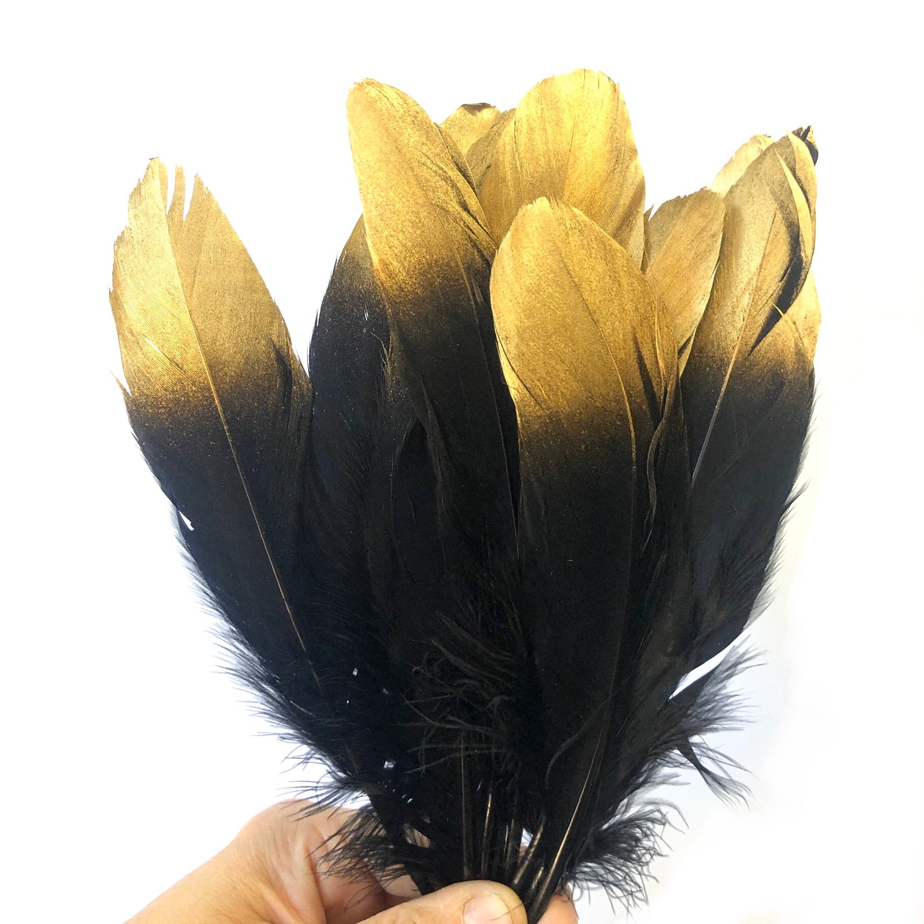 Goose Pointer Feather Gold Tipped x 10 pcs - Black - Style 22