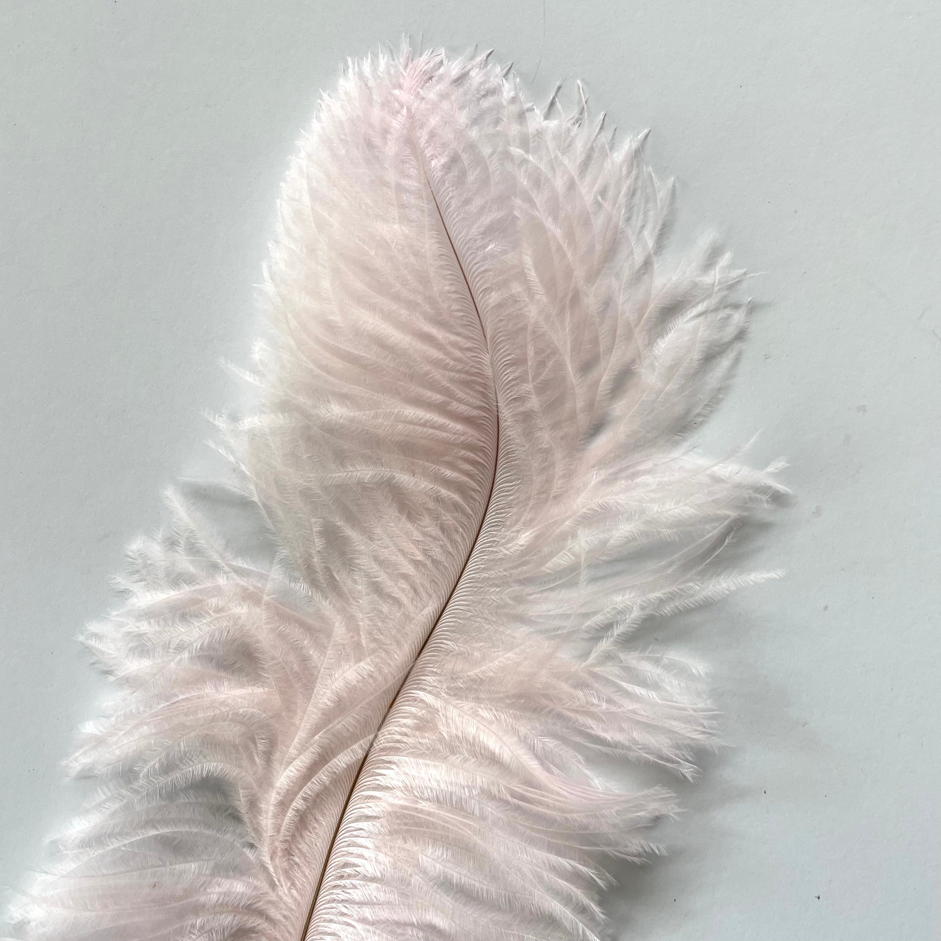 Ostrich Blondine Feather 25-40cm x 5 pcs - Pink ((SECONDS))