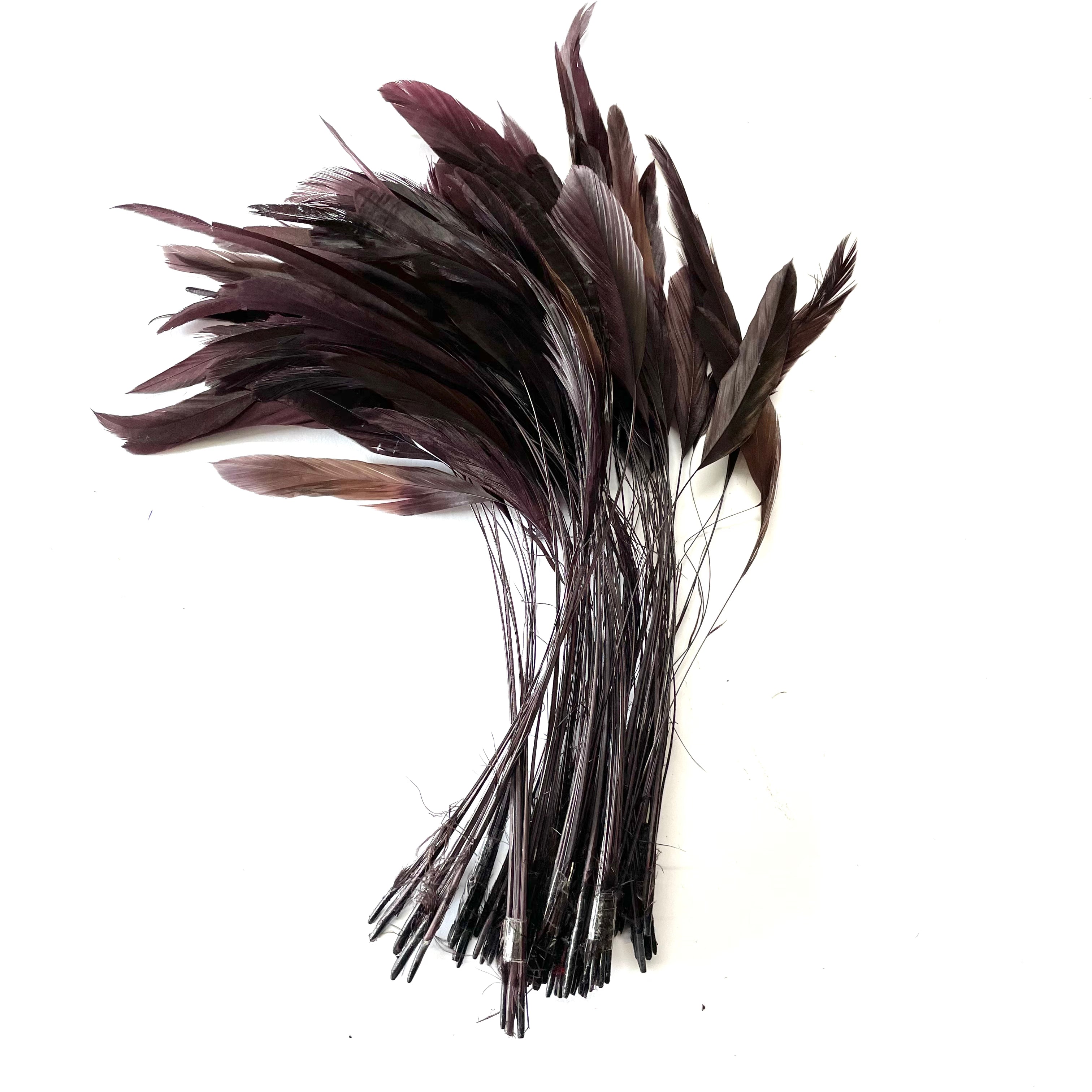 Stripped Coque Tail Feathers 10 grams - Chocolate Brown