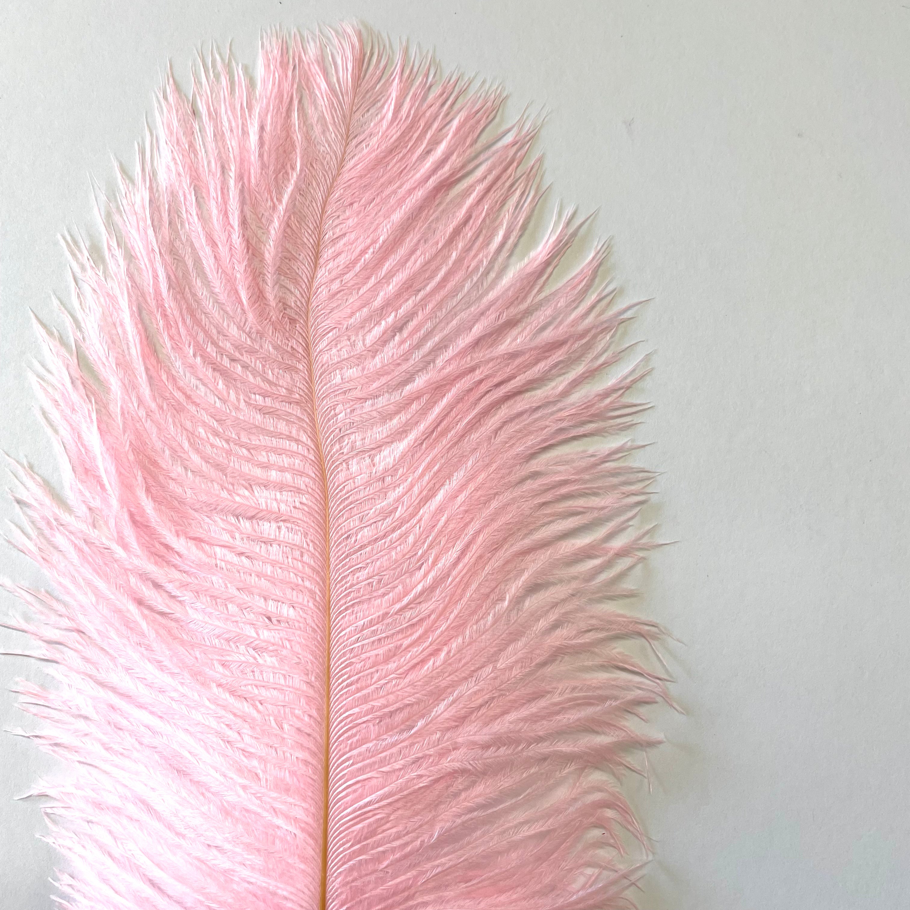 Ostrich Drab Feather 27-32cm - Candy Pink