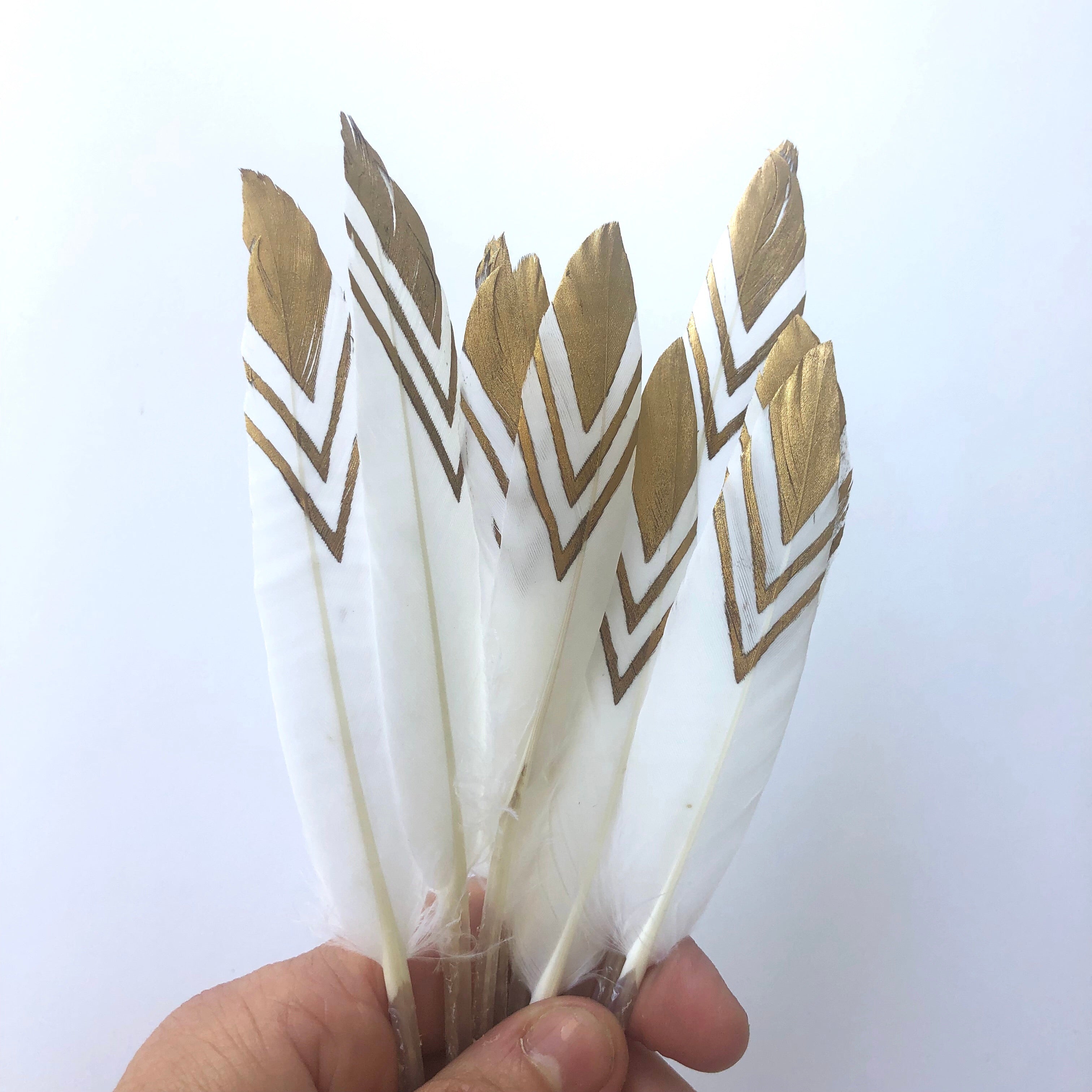 Tiny Goose Pointer Printed White Feather Art Craft - Metallic Gold Style 3 x 10 pcs