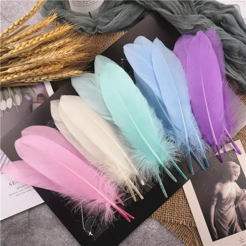 Goose Pointer Feathers 50 pcs - Pastel Assorted