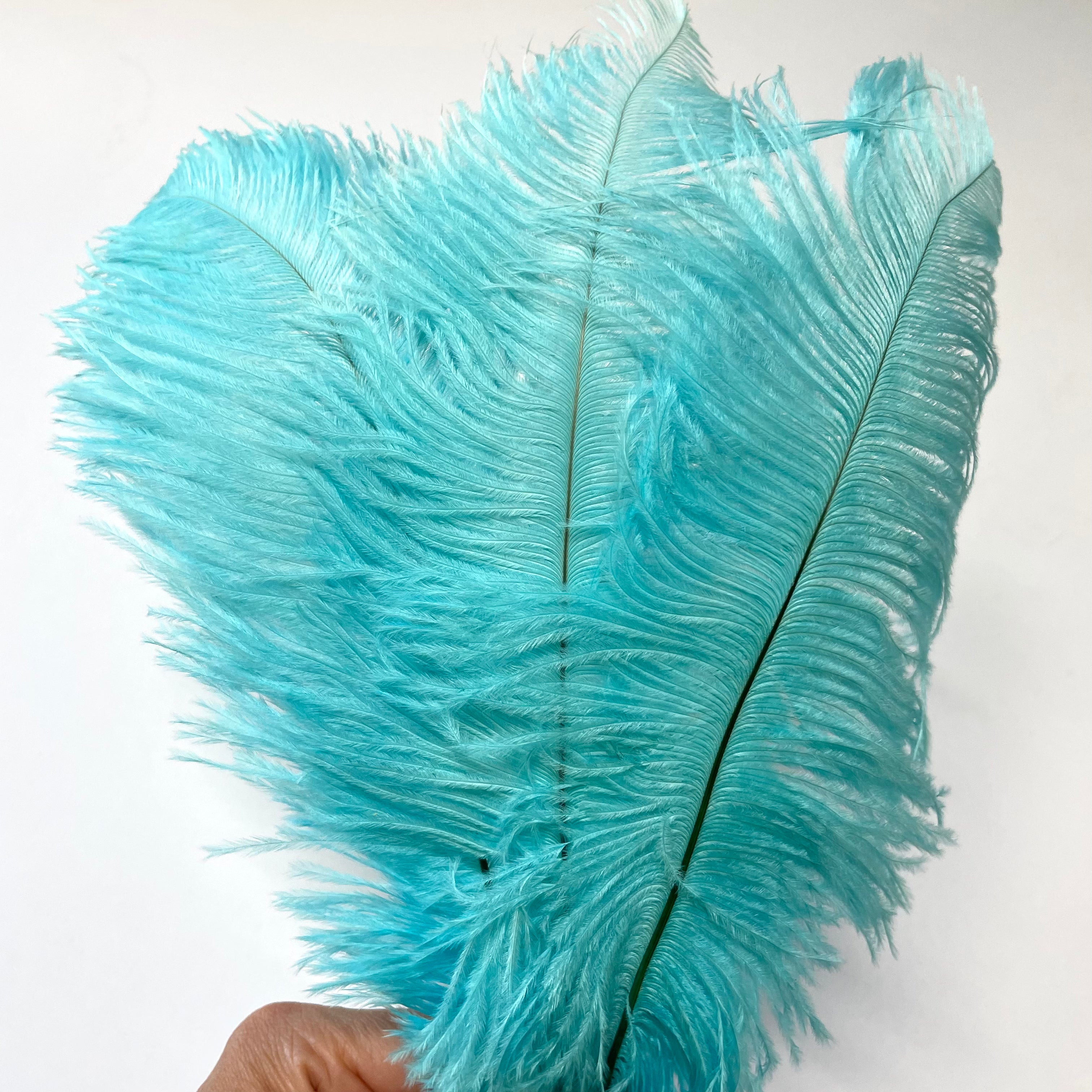 Ostrich Drab Feather 27-32cm - Ice Blue