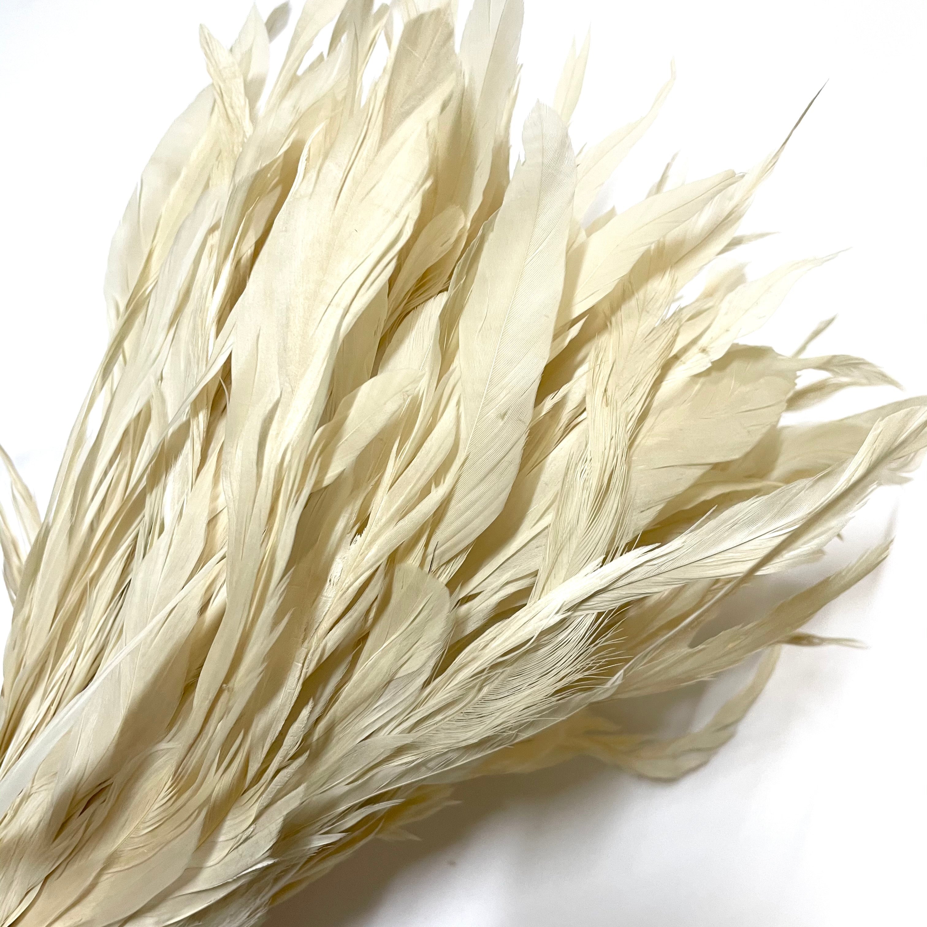 Coque Tail Feathers 8-10" 240mm - 10 grams - Beige