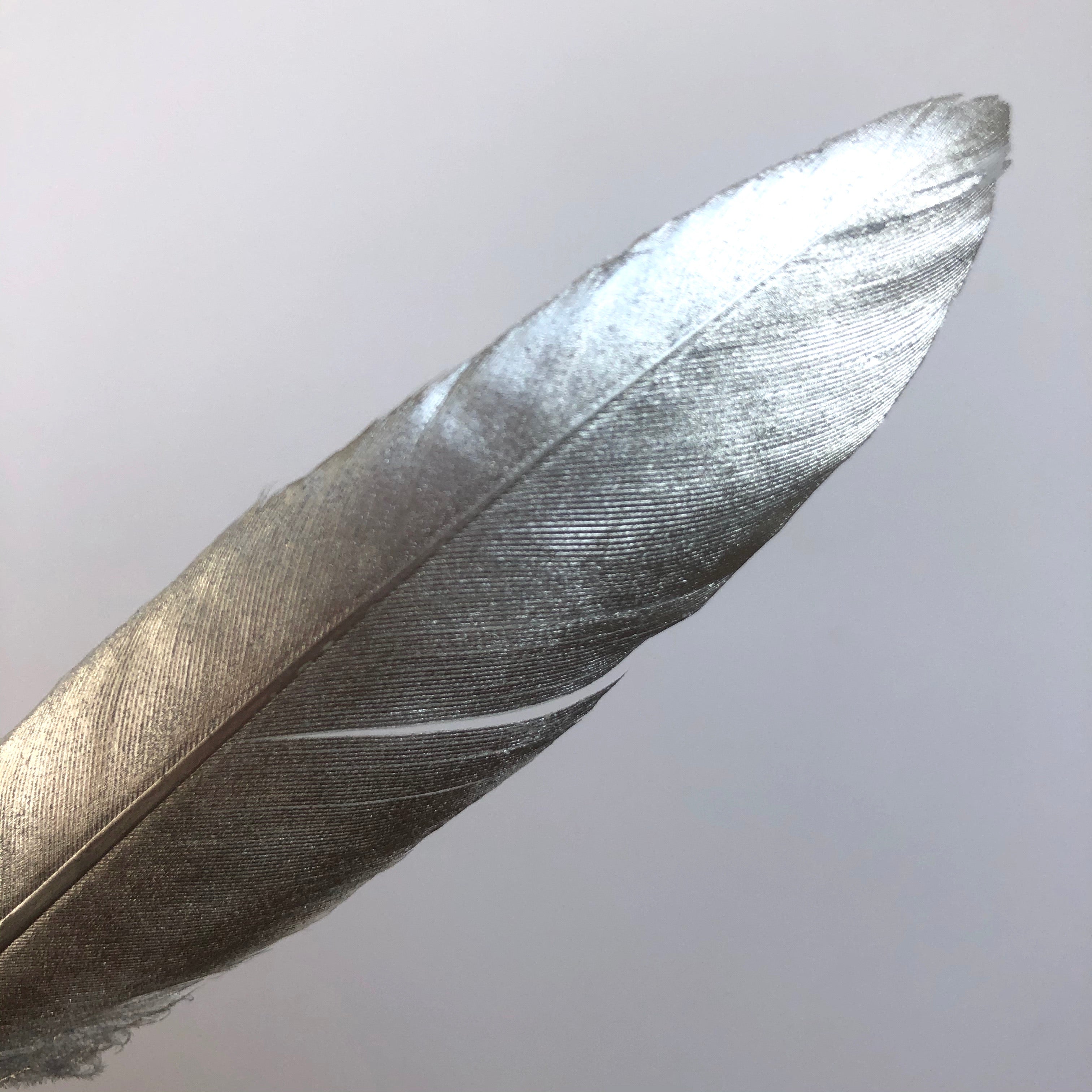 Tiny Goose Pointer Feather Solid Metallic Silver x 10 pcs