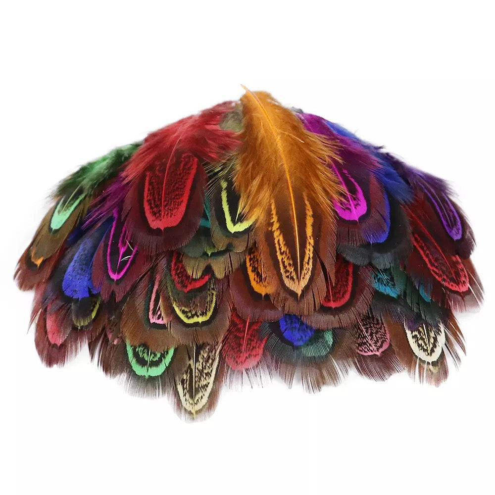 Almond Male Ringneck Pheasant Feather Plumage x 50pcs - Multicolor