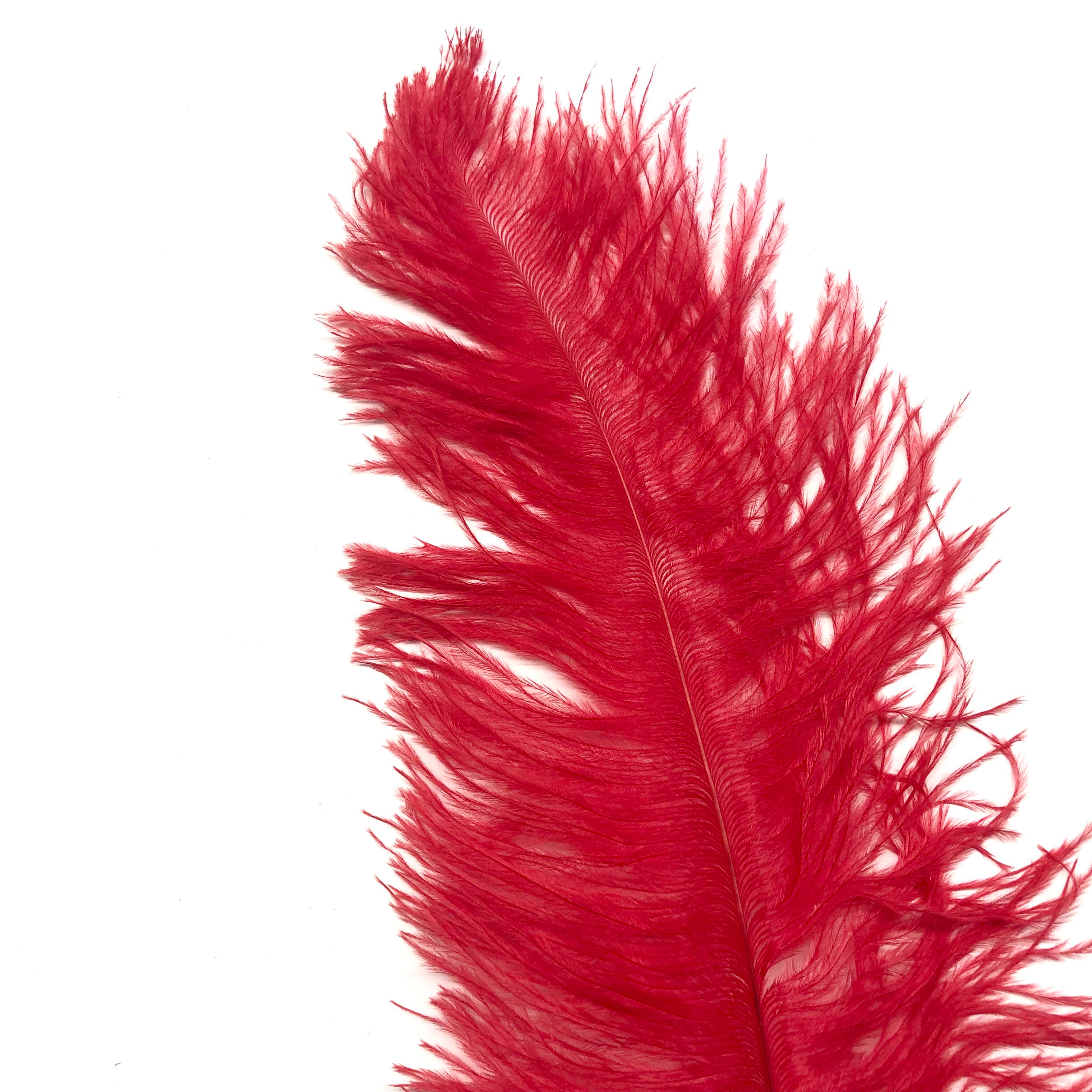 Ostrich Blondine Feather 25-40cm x 5 pcs - Red ((SECONDS))