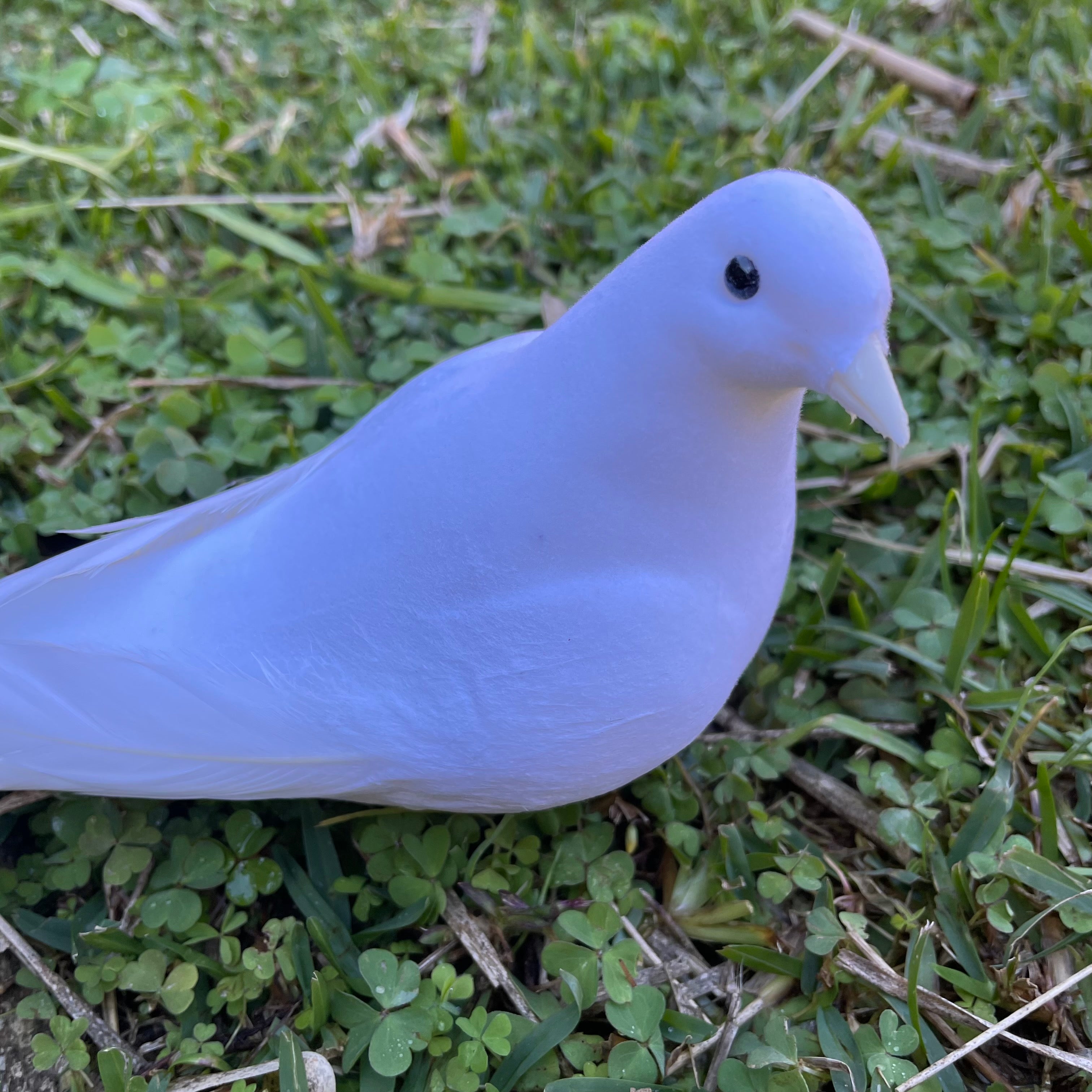 Artificial Lifelike White Pigeon Dove Wedding Foam Feather Bird - Closed Wing