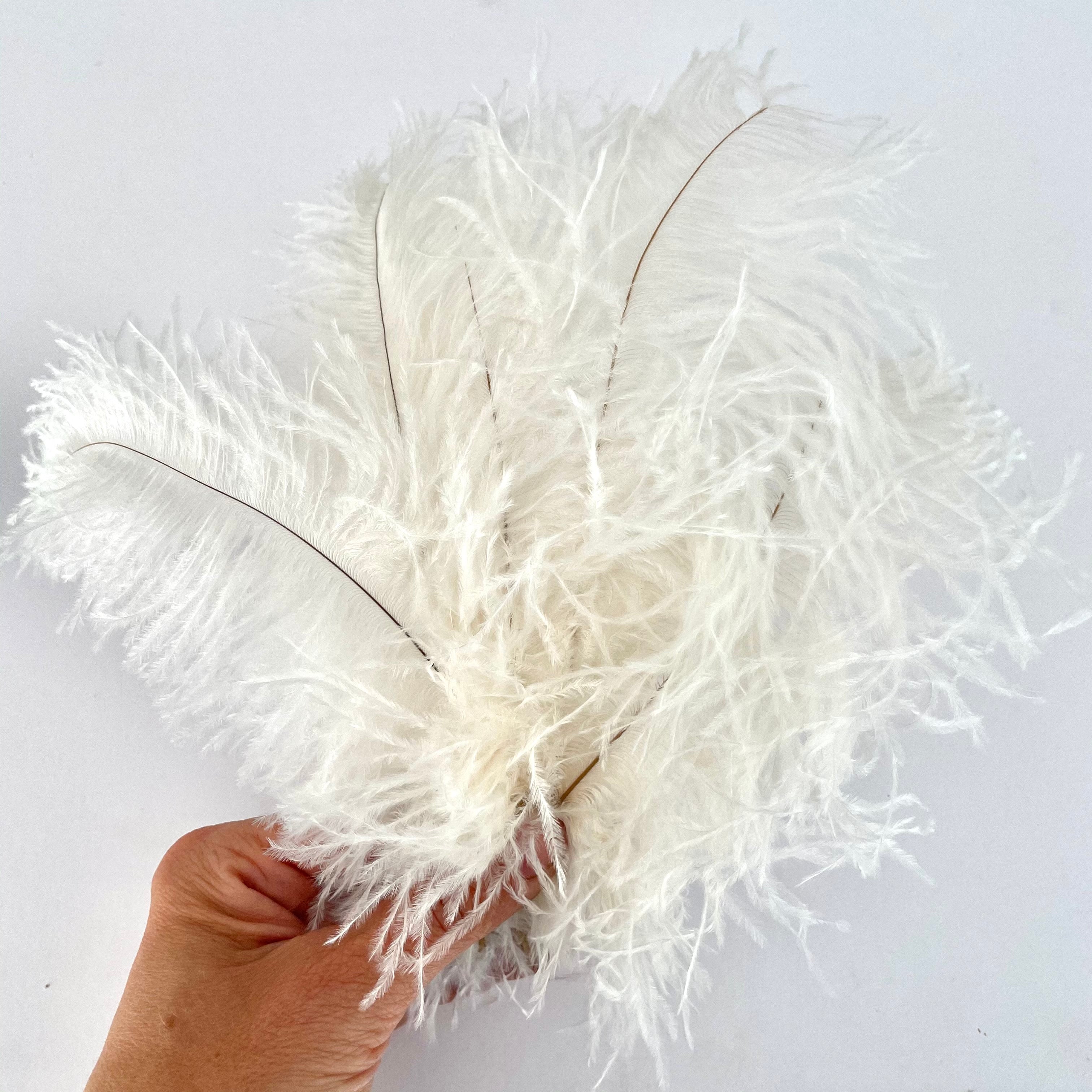 Ostrich Blondine Feather SHORT 10 grams - White ((SECONDS))